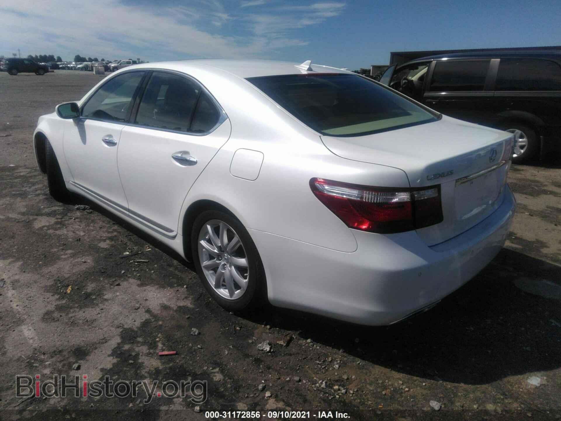 2009 LEXUS LS 460 - VIN: JTHBL46F995087768 - Фото 3
