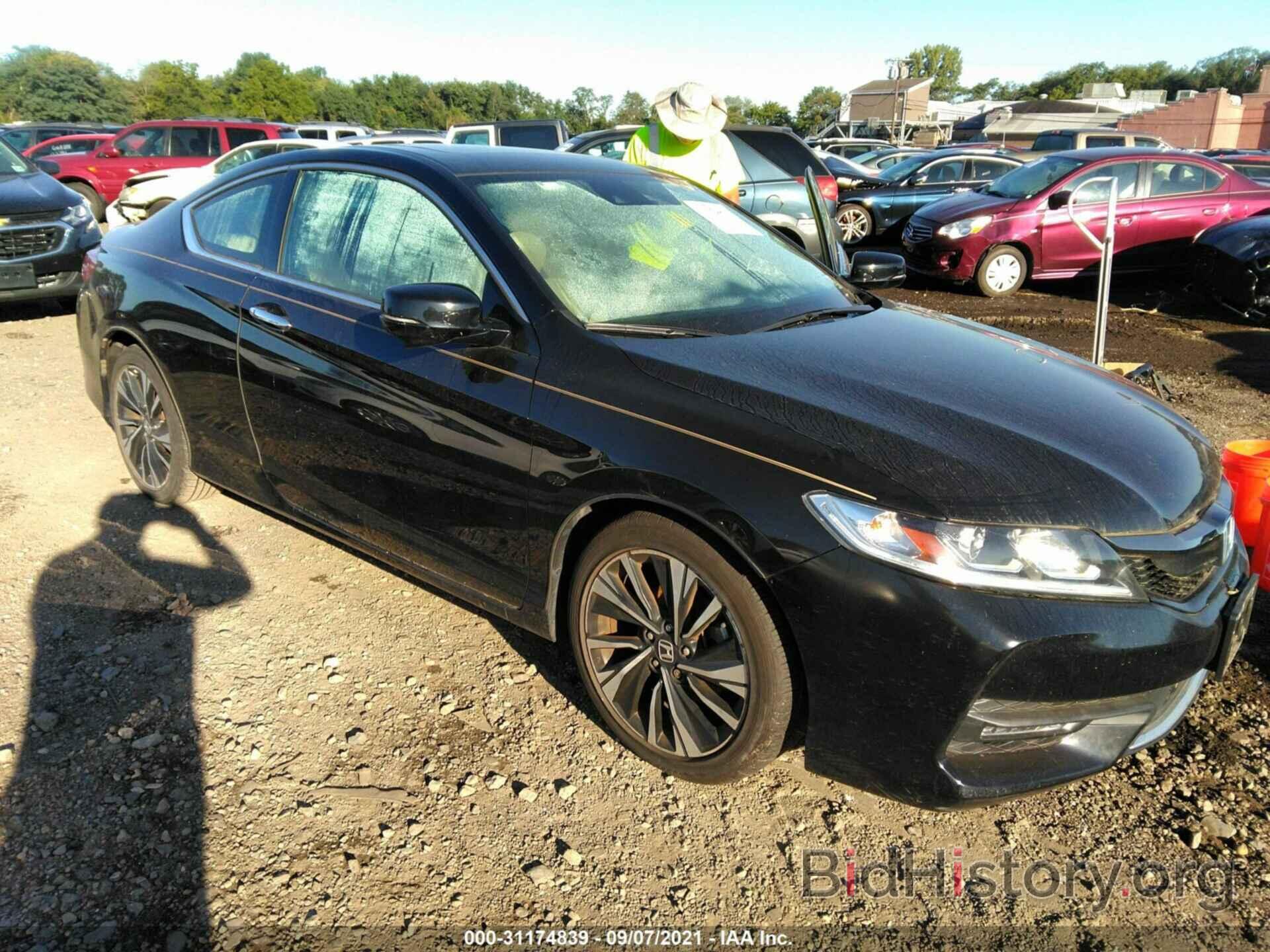 Photo 1HGCT1B61HA002066 - HONDA ACCORD COUPE 2017