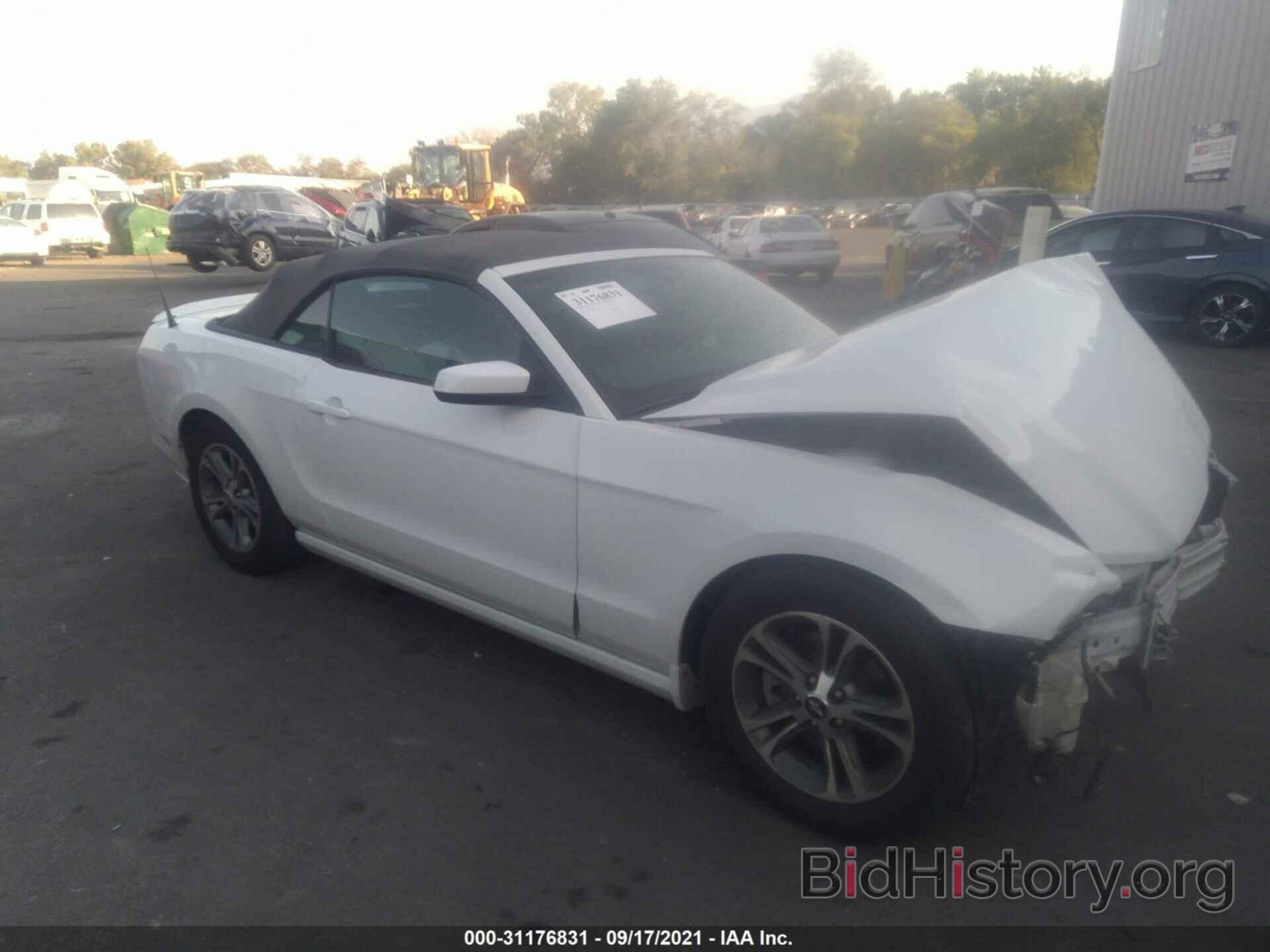 Photo 1ZVBP8EMXE5229193 - FORD MUSTANG 2014