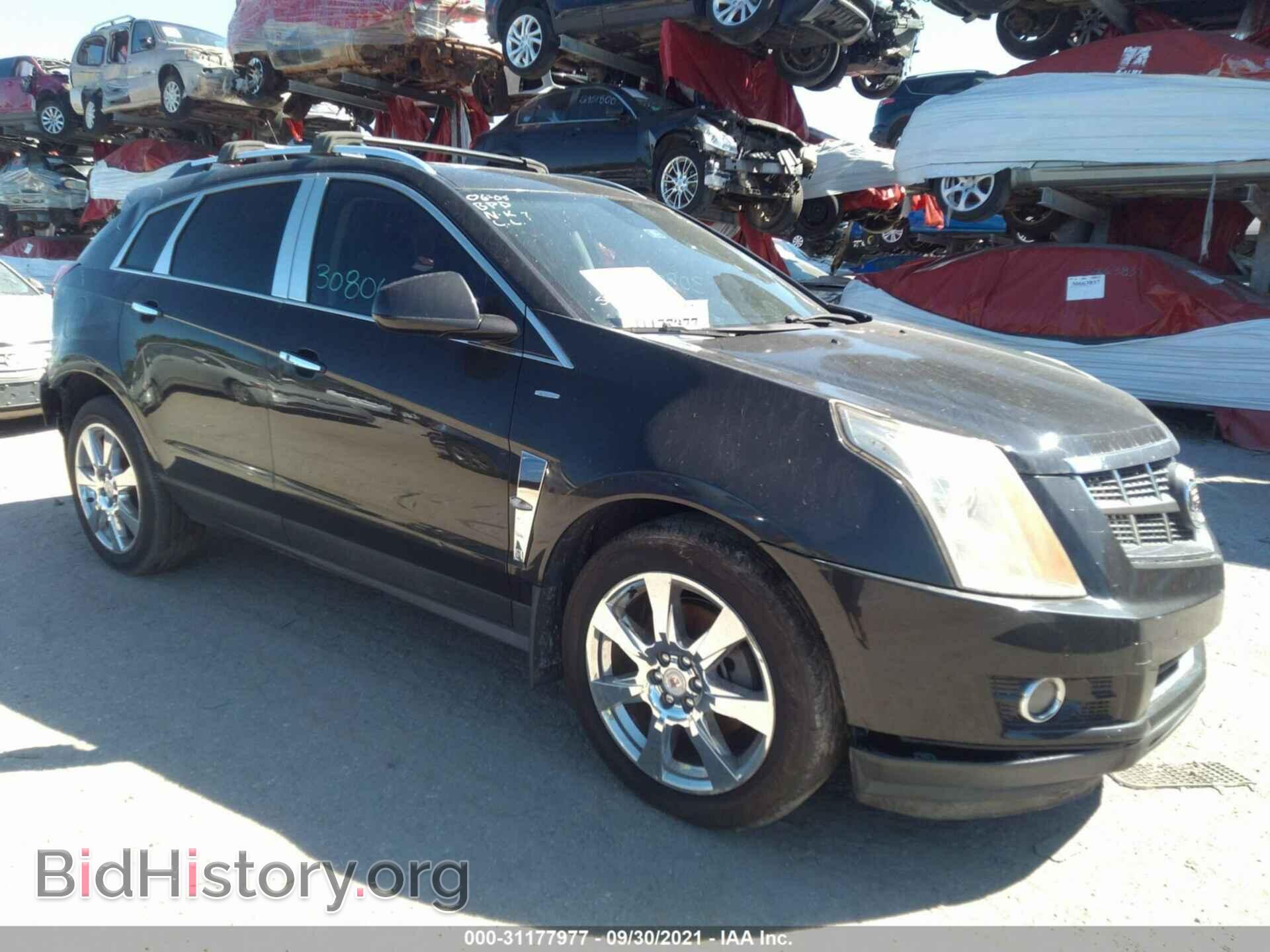 Фотография 3GYFNFEY0AS641246 - CADILLAC SRX 2010