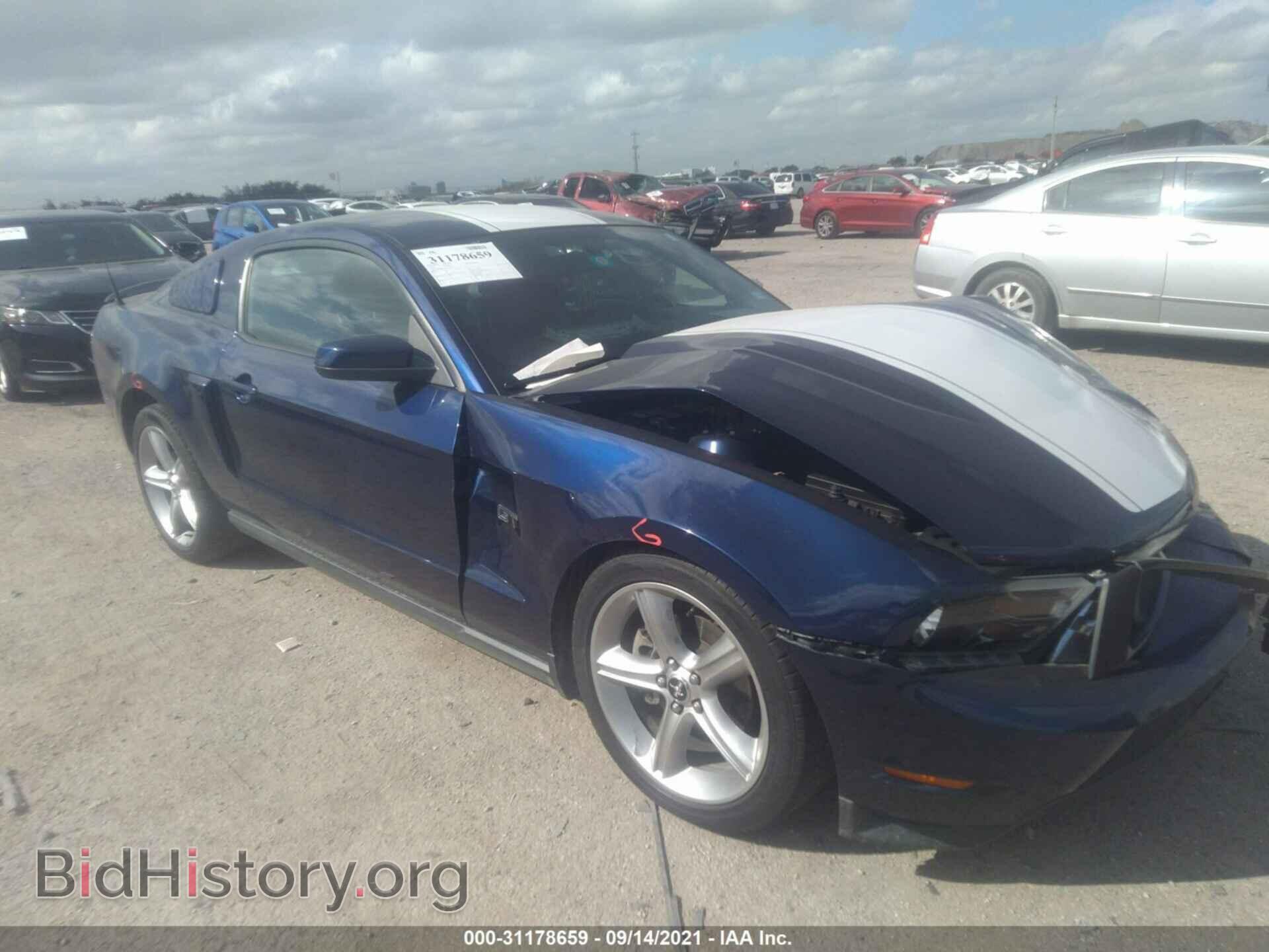 Фотография 1ZVBP8CH8A5159550 - FORD MUSTANG 2010