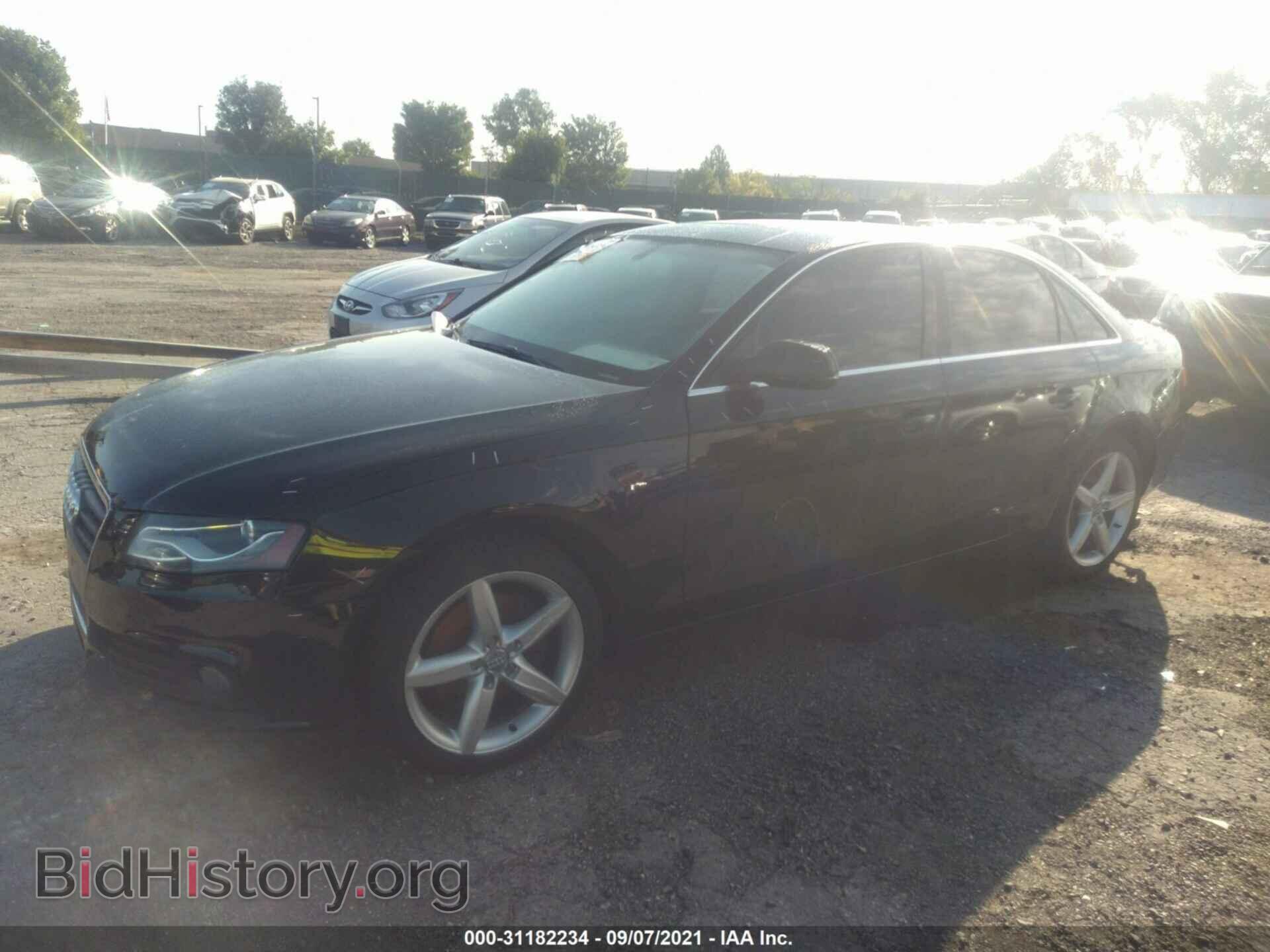 2010 AUDI A4 - VIN: WAUFFAFL0AN068137 - Фото 2