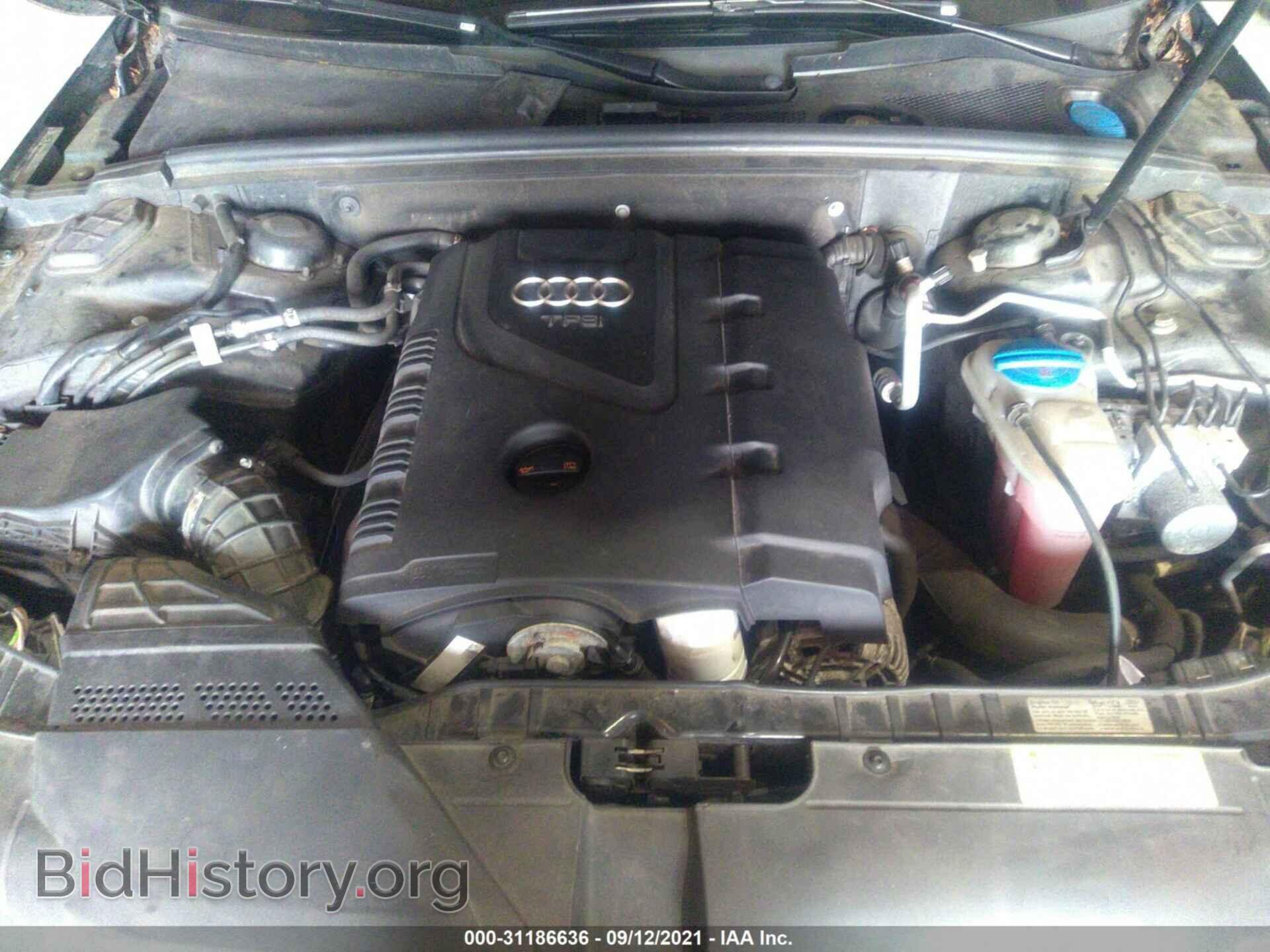 2011 AUDI A4 - VIN: WAUFFAFL8BN024114 - Фото 10