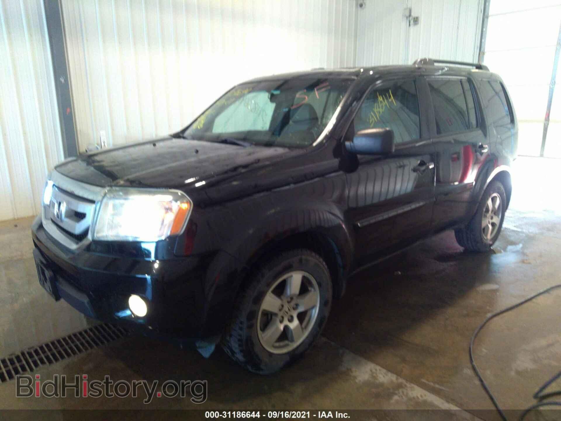 2011 HONDA PILOT - VIN: 5FNYF4H65BB013123 - Фото 2