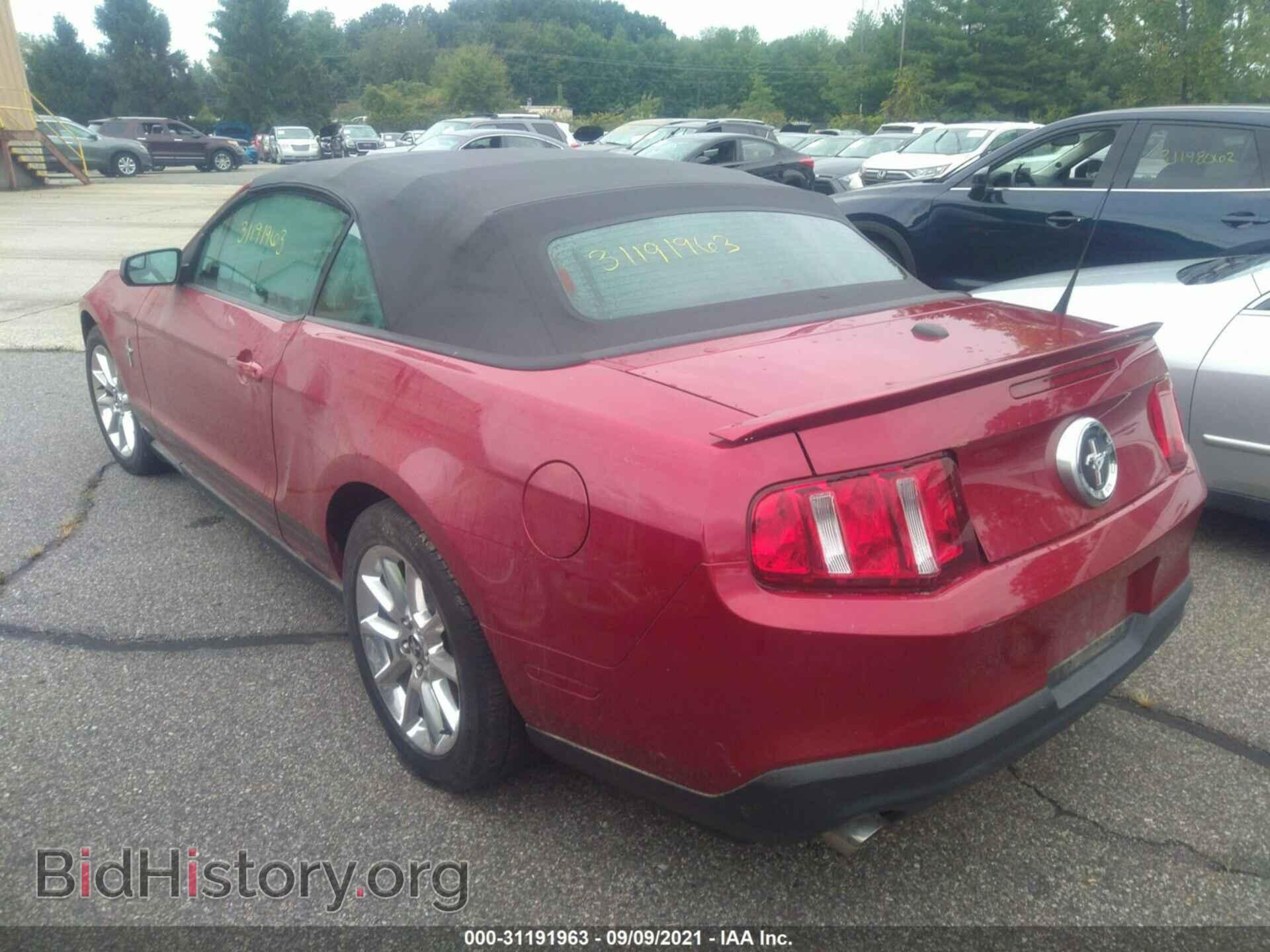 2011 FORD MUSTANG - VIN: 1ZVBP8EMXB5121958 - Фото 3