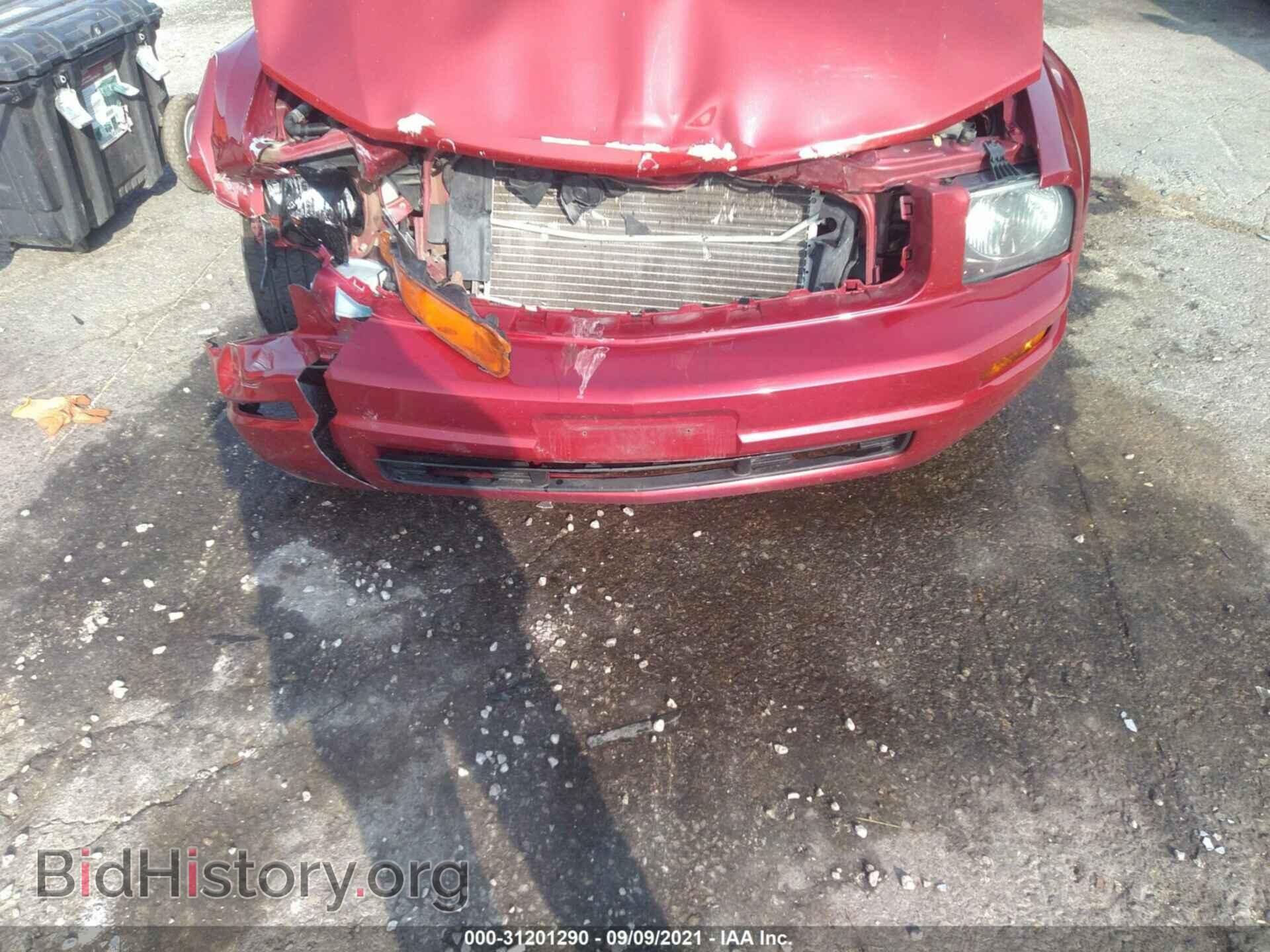 2006 FORD MUSTANG - VIN: 1ZVFT84N865131921 - Фото 6