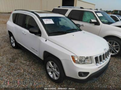 2011 Jeep COMPASS Latitude, white — VIN 1J4NT1FA5BD241500, IAAI
