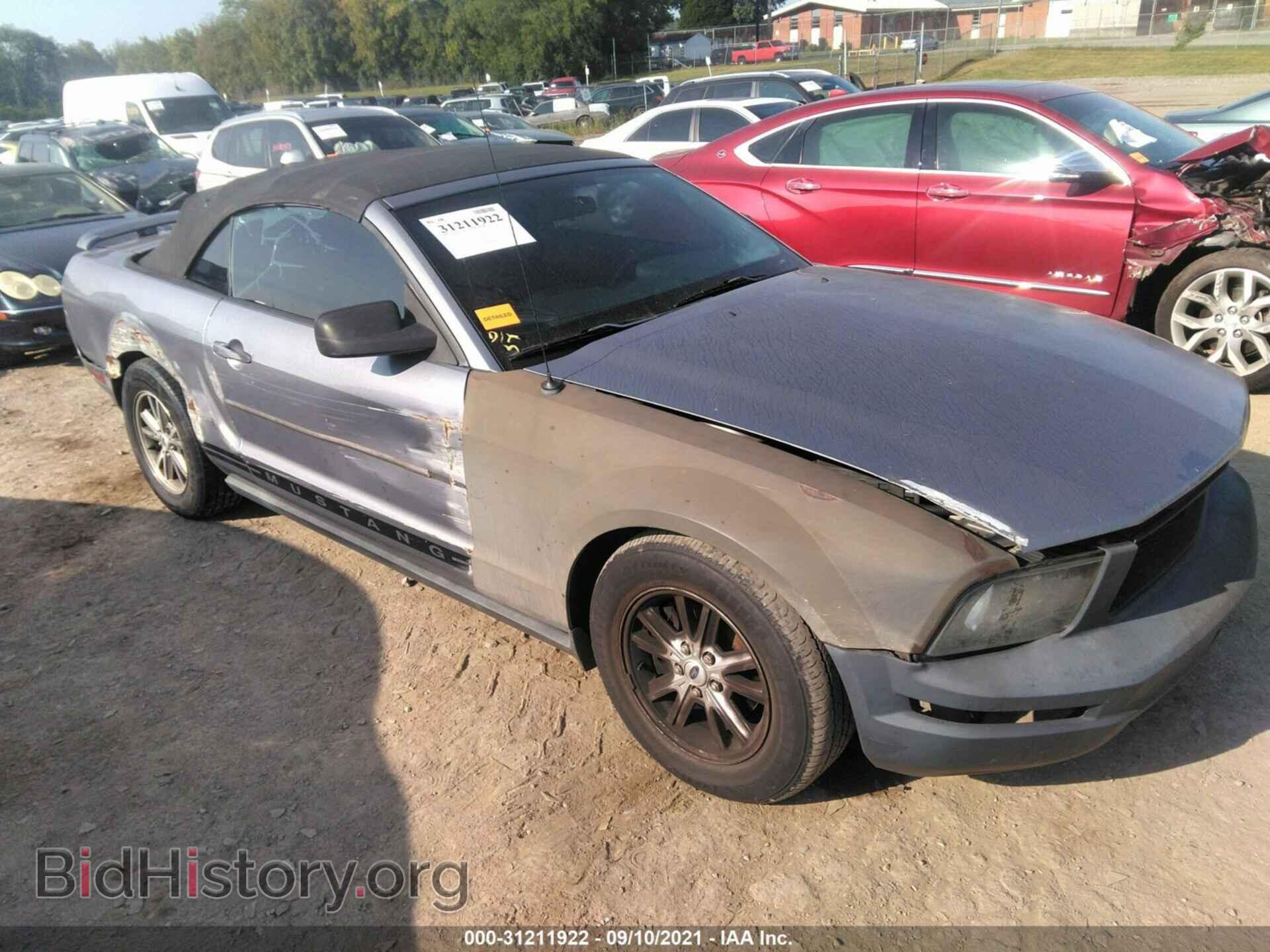 Photo 1ZVFT84N765226146 - FORD MUSTANG 2006