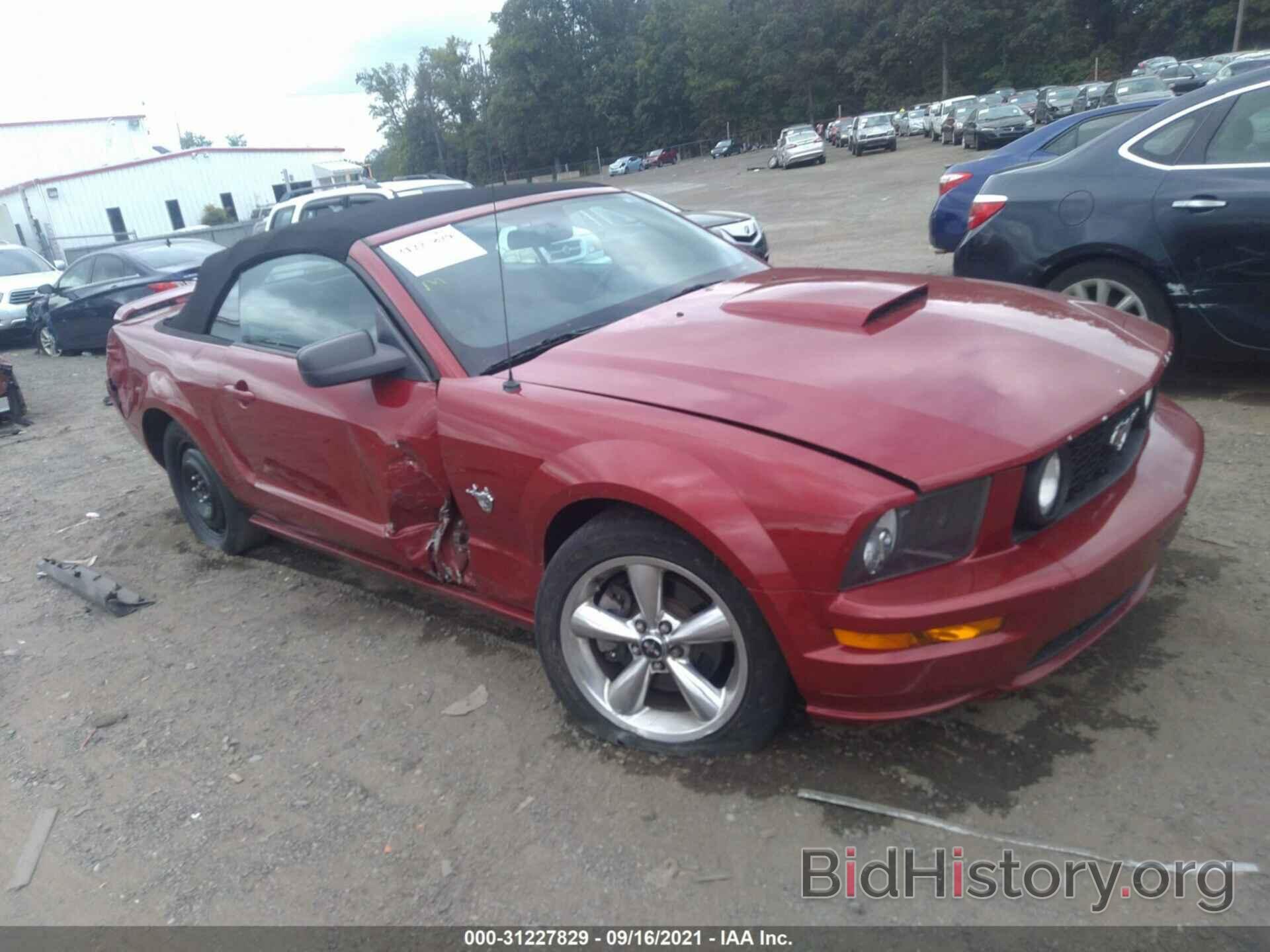 Photo 1ZVHT85H895122528 - FORD MUSTANG 2009