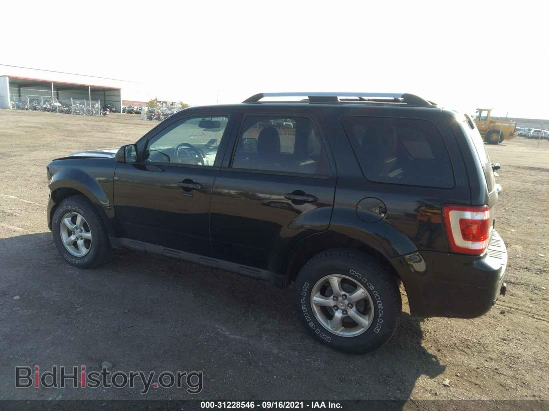 2011 FORD ESCAPE - VIN: 1FMCU9EG1BKB98277 - Фото 3