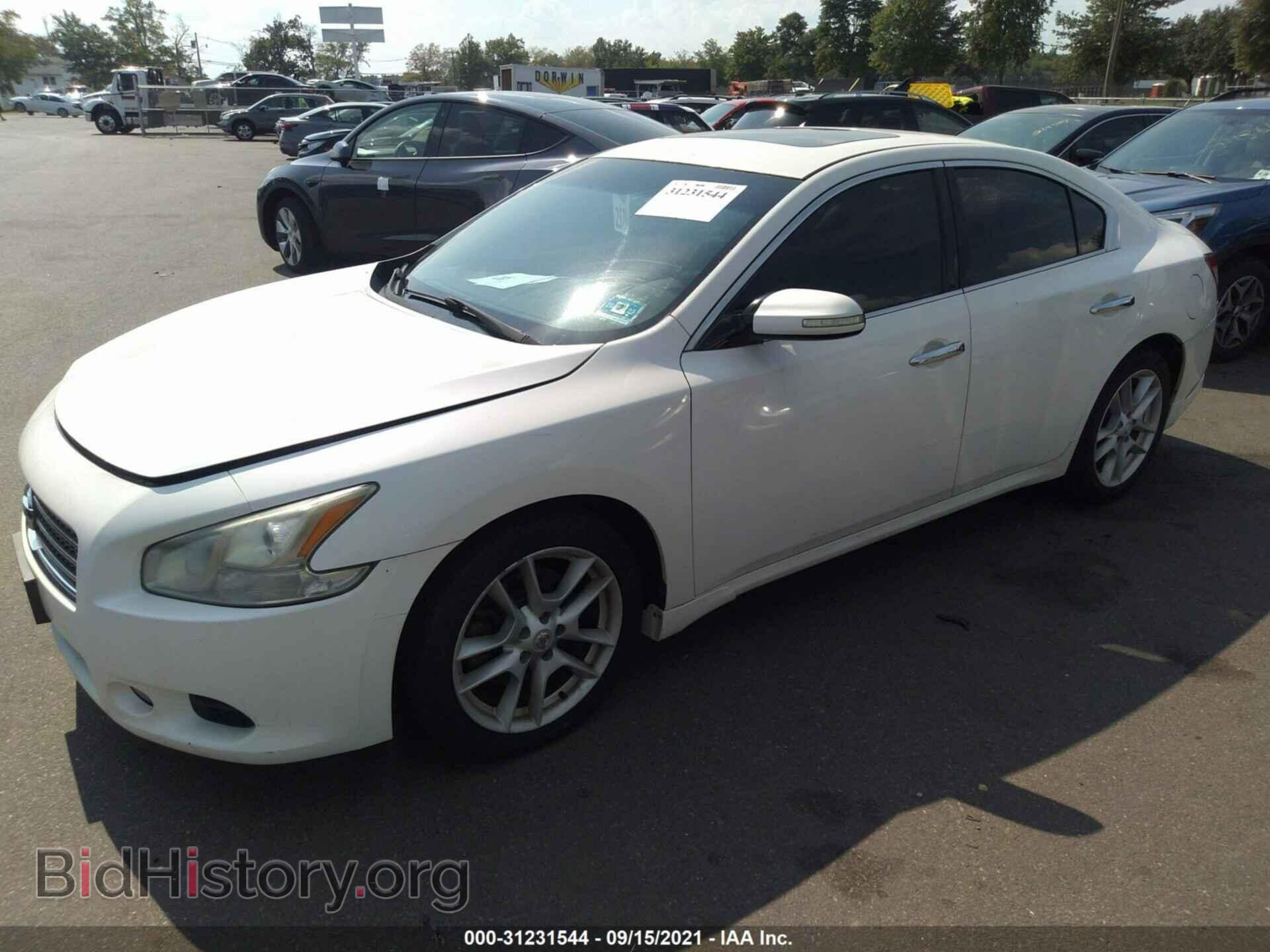 2009 NISSAN MAXIMA - VIN: 1N4AA51E19C830965 - Фото 2