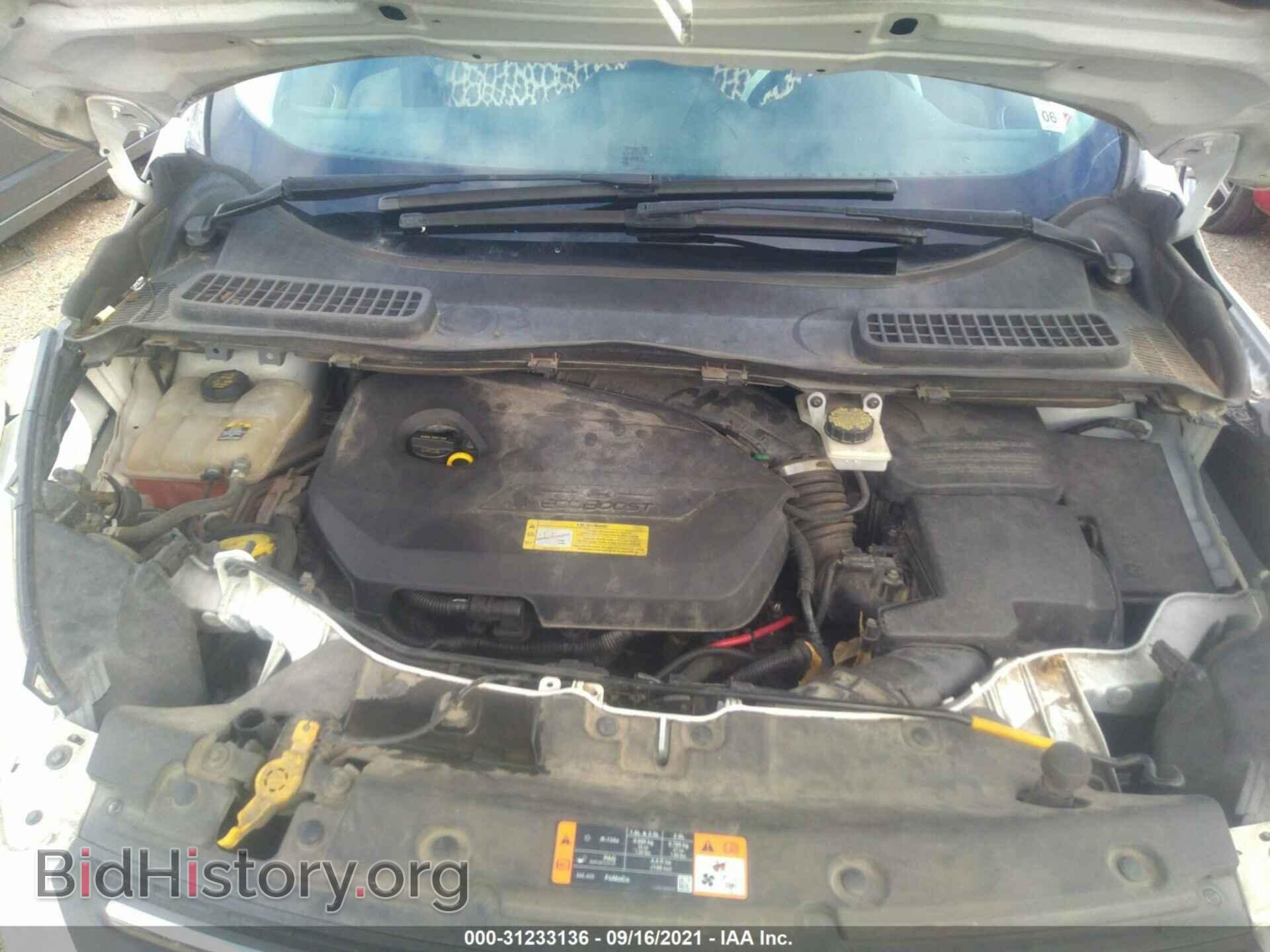 2013 FORD ESCAPE - VIN: 1FMCU0GX5DUC99094 - Фото 10