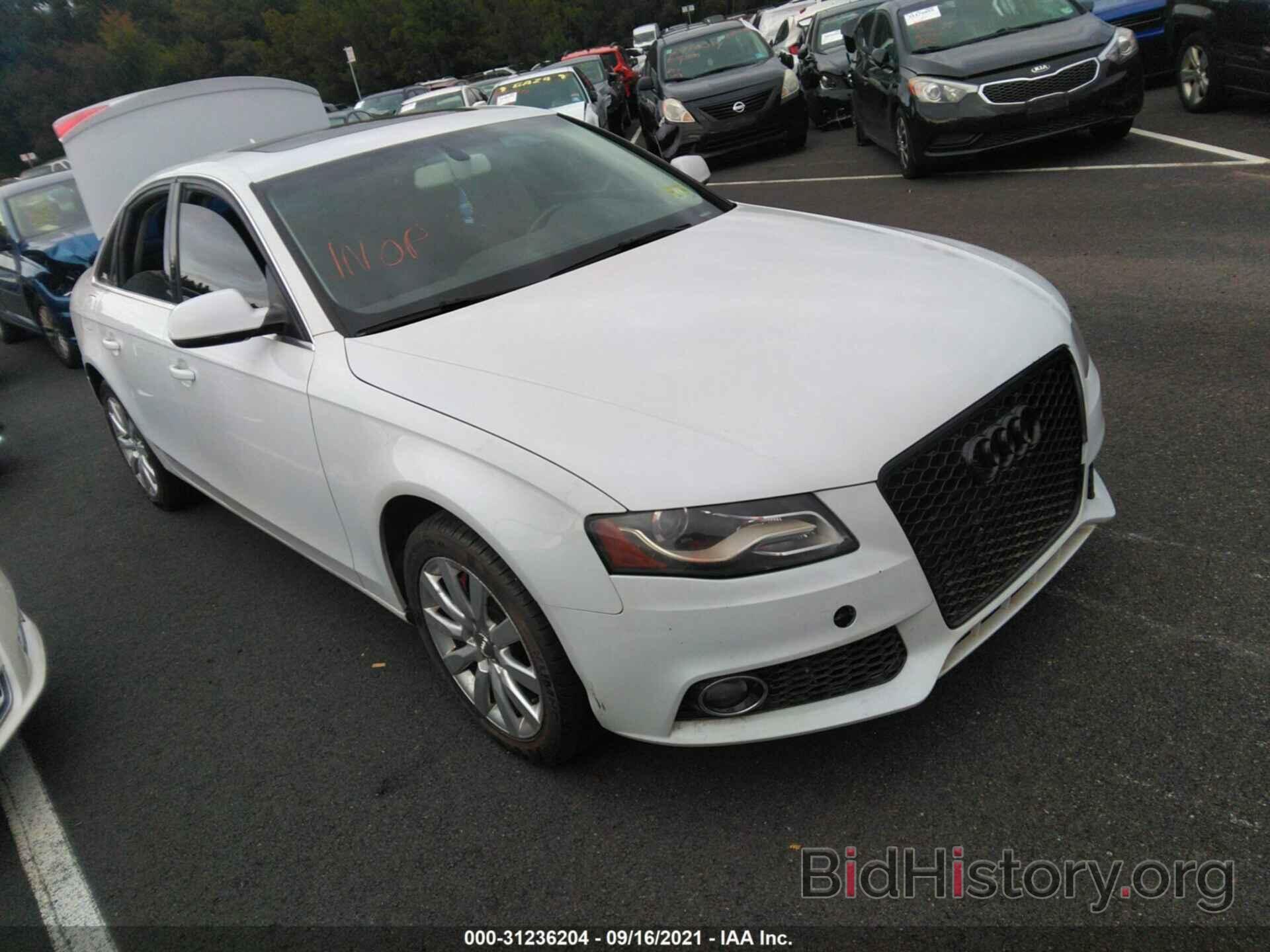 Photo WAUBFAFL6CN012009 - AUDI A4 2012