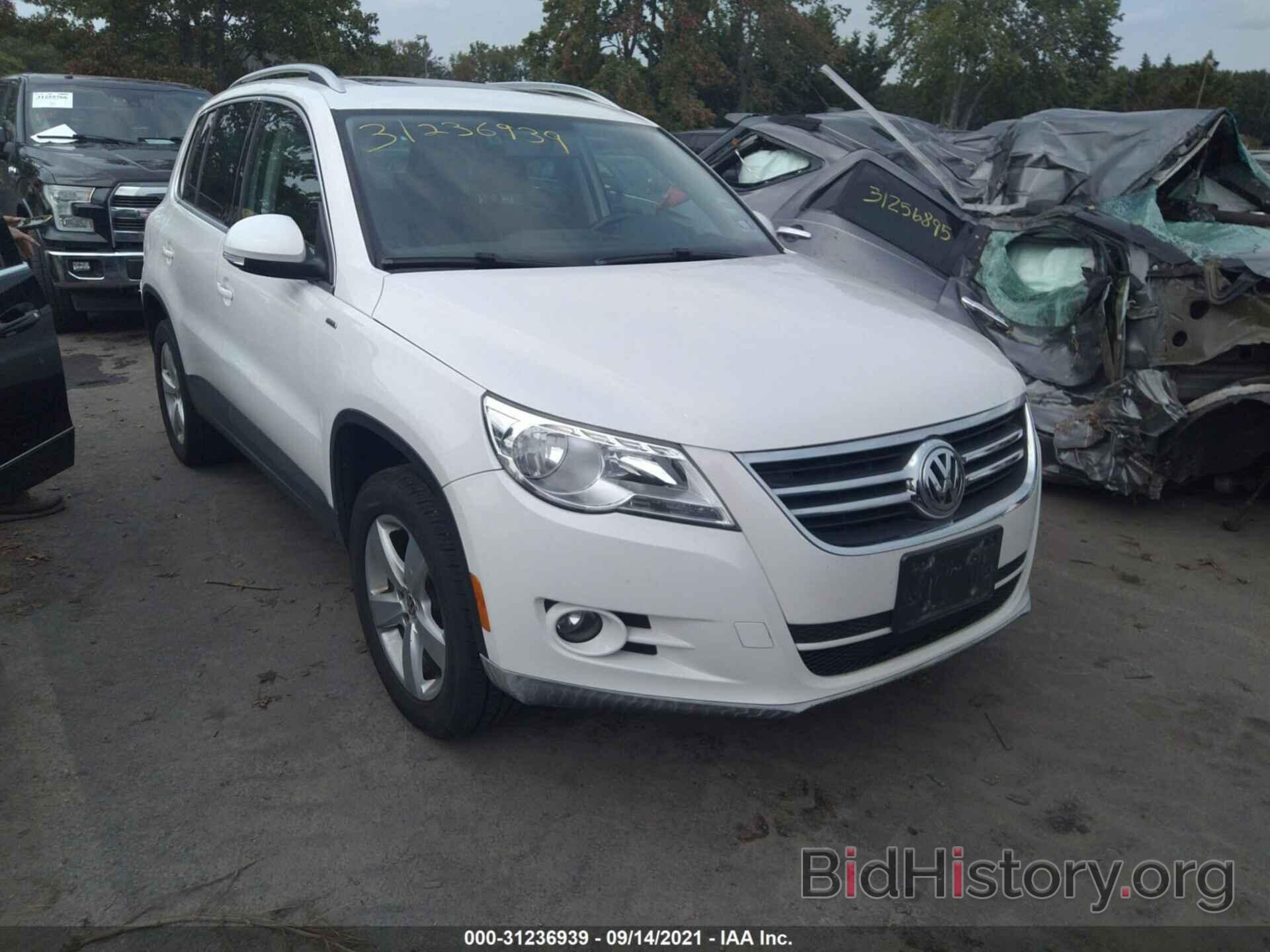 Photo WVGAV7AX8AW531404 - VOLKSWAGEN TIGUAN 2010