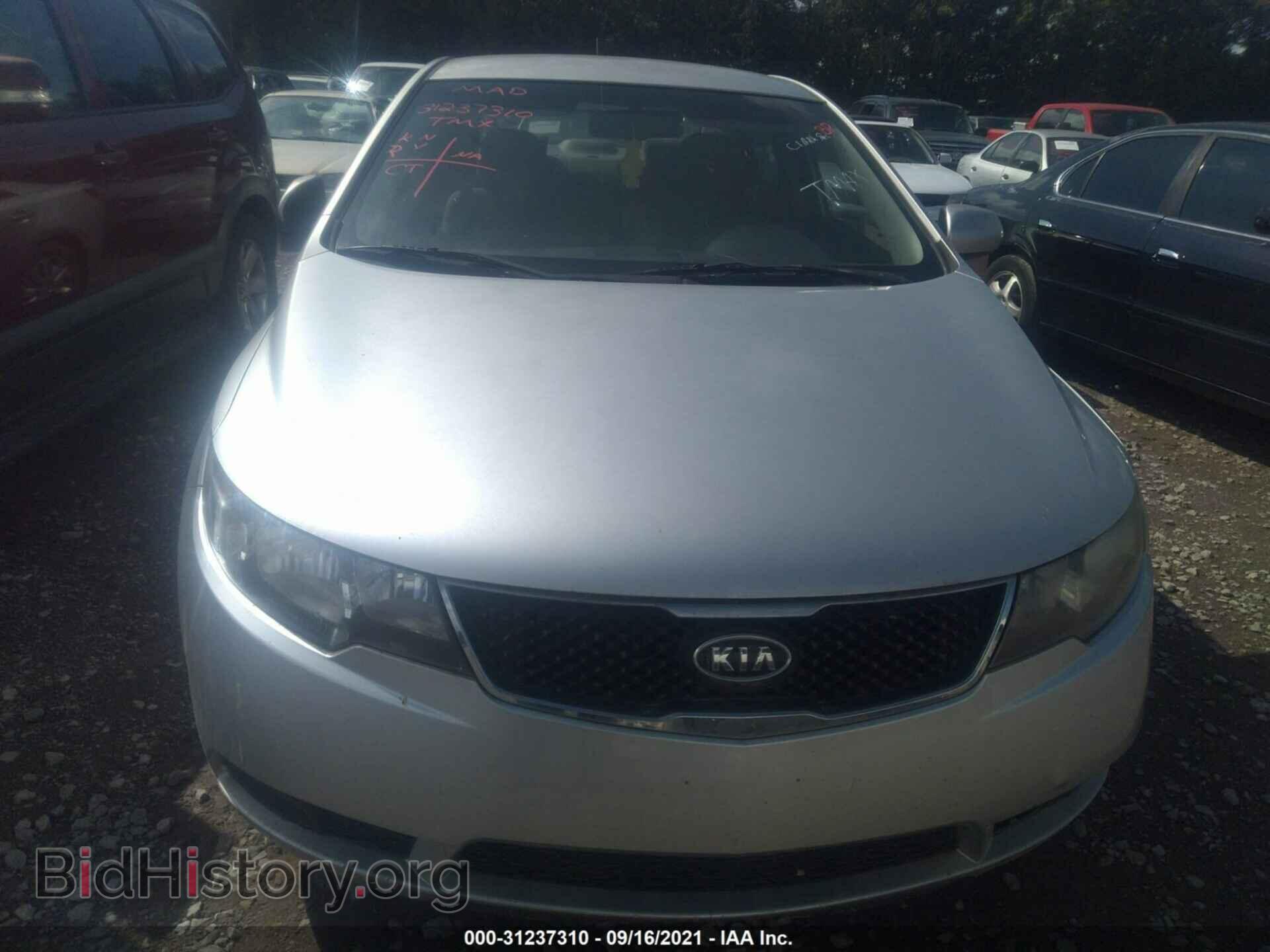 2013 KIA FORTE - VIN: KNAFT4A26D5664723 - Фото 6