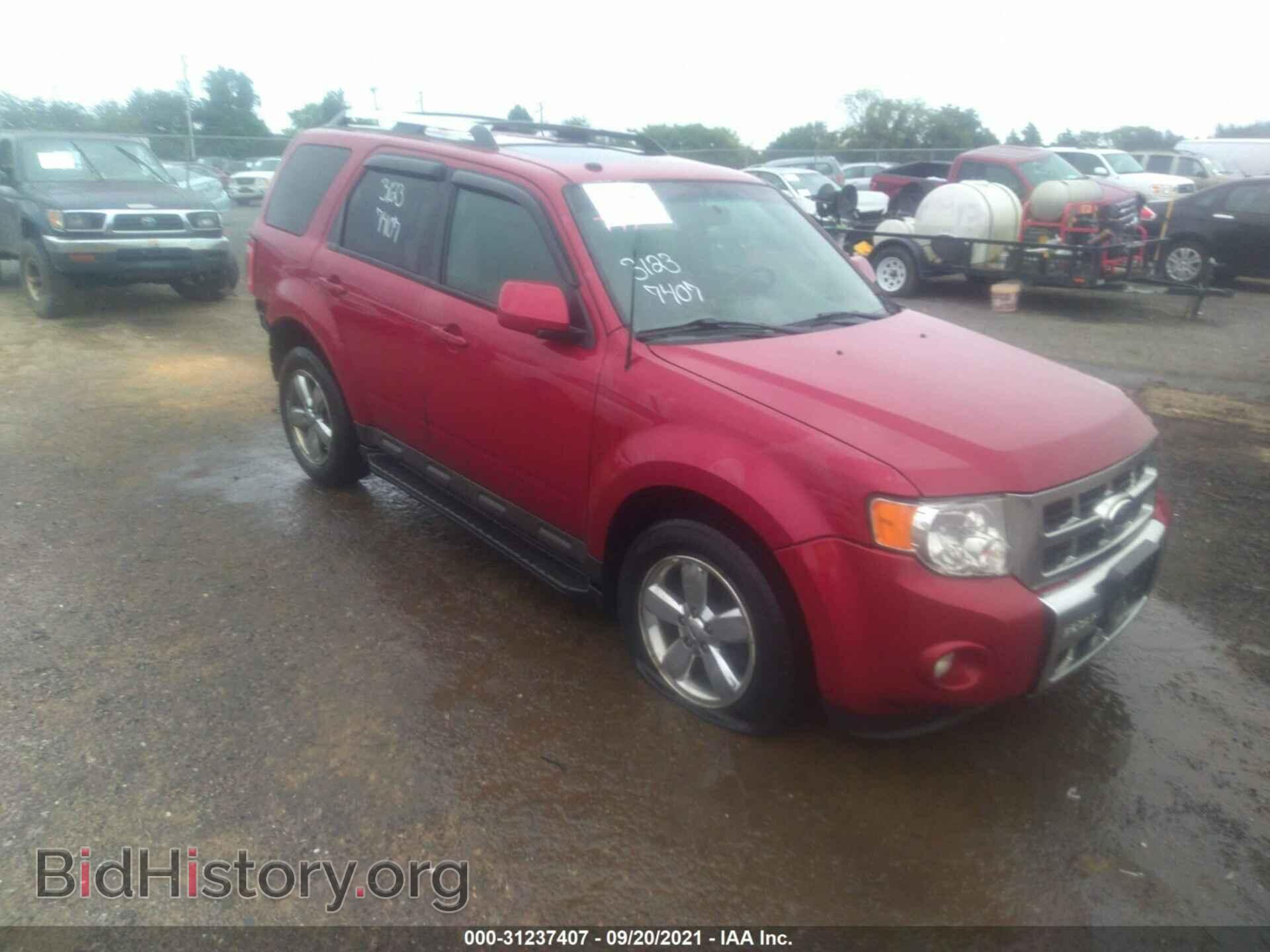 Фотография 1FMCU0EG4BKA15904 - FORD ESCAPE 2011