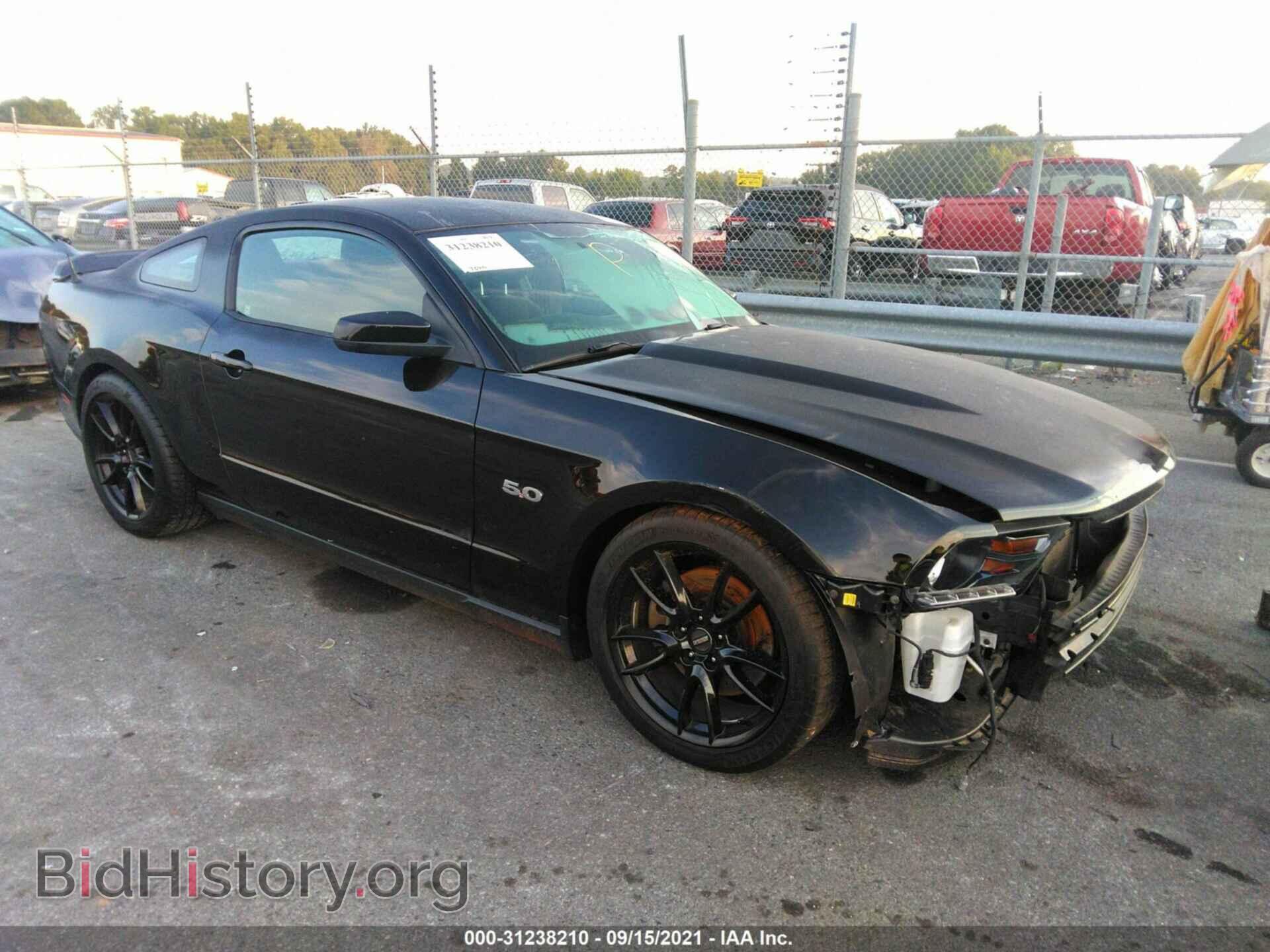 Photo 1ZVBP8CF5B5167816 - FORD MUSTANG 2011