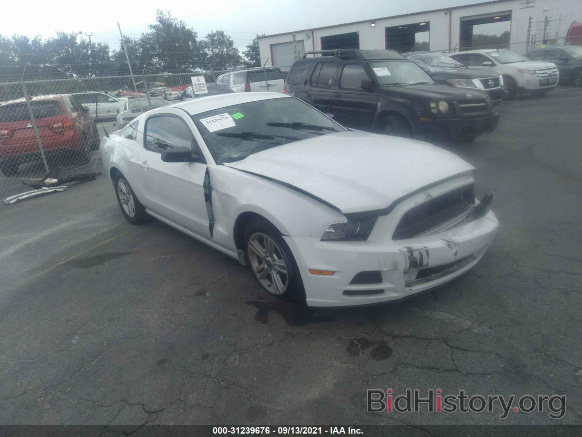 Photo 1ZVBP8AM3E5283067 - FORD MUSTANG 2014