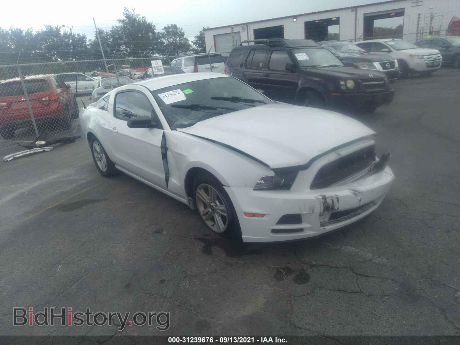 Фотография 1ZVBP8AM3E5283067 - FORD MUSTANG 2014