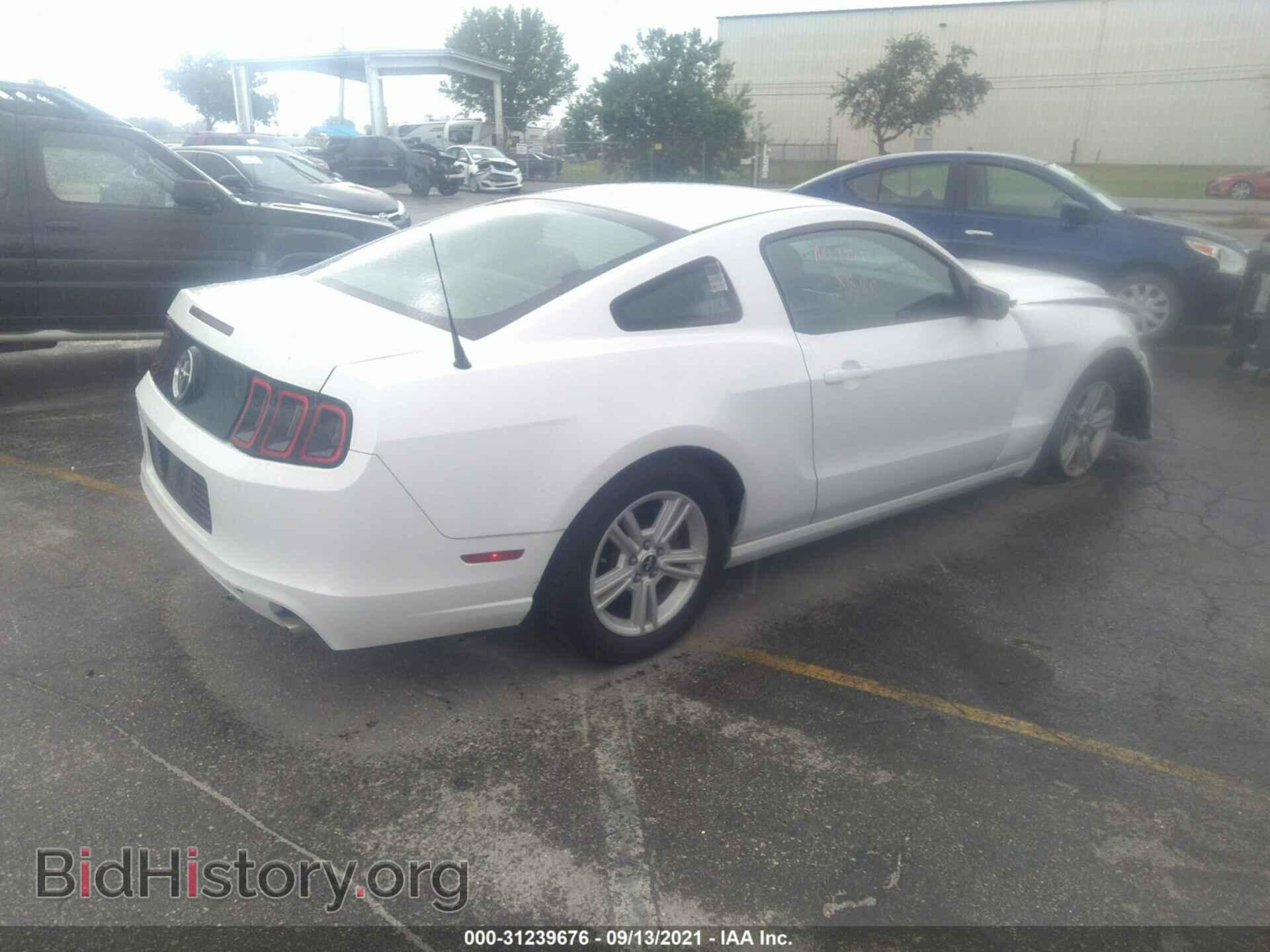 2014 FORD MUSTANG - VIN: 1ZVBP8AM3E5283067 - Фото 4