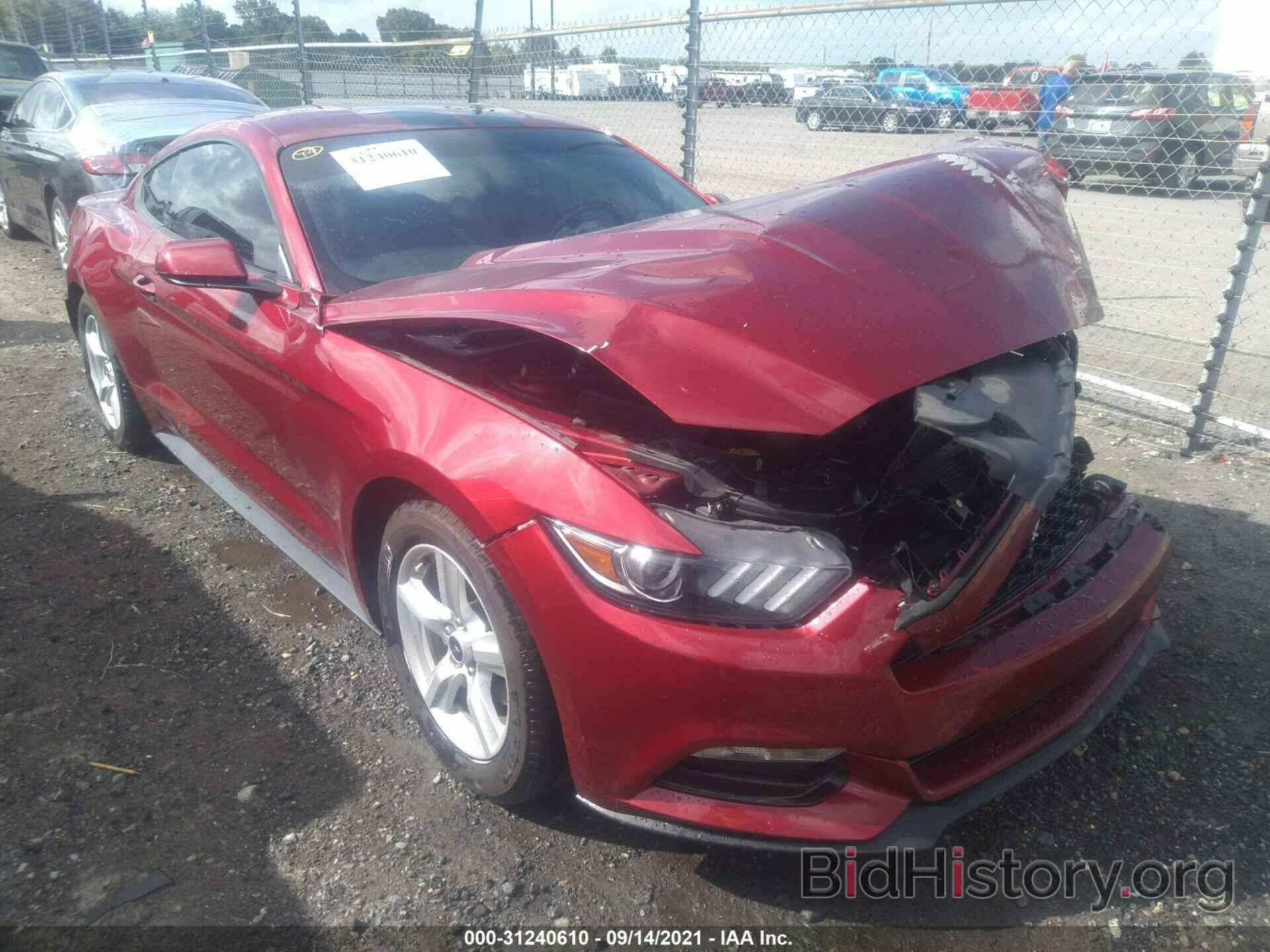 Photo 1FA6P8AM8H5240441 - FORD MUSTANG 2017