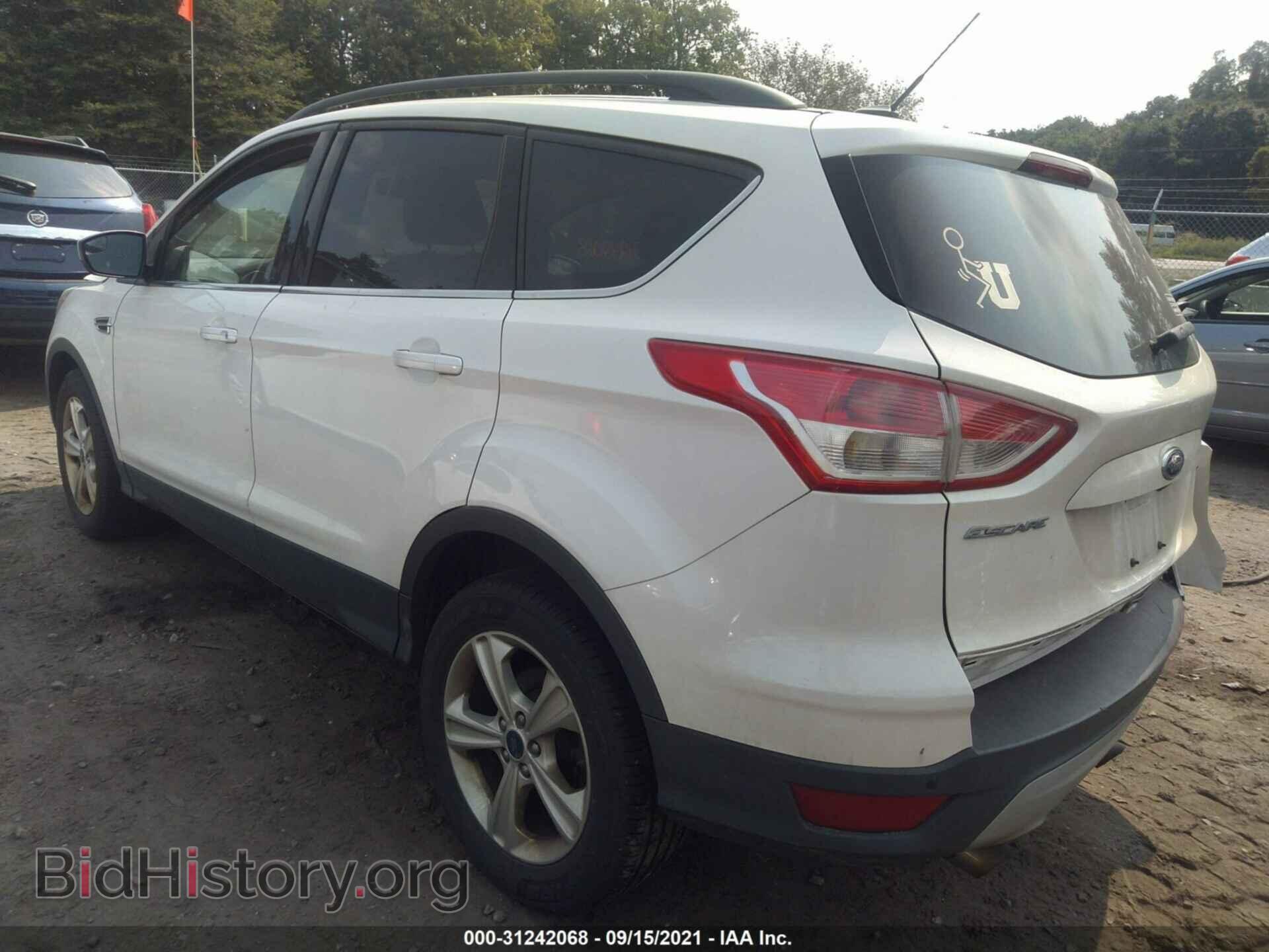 2014 FORD ESCAPE - VIN: 1FMCU9GX0EUD76184 - Фото 3
