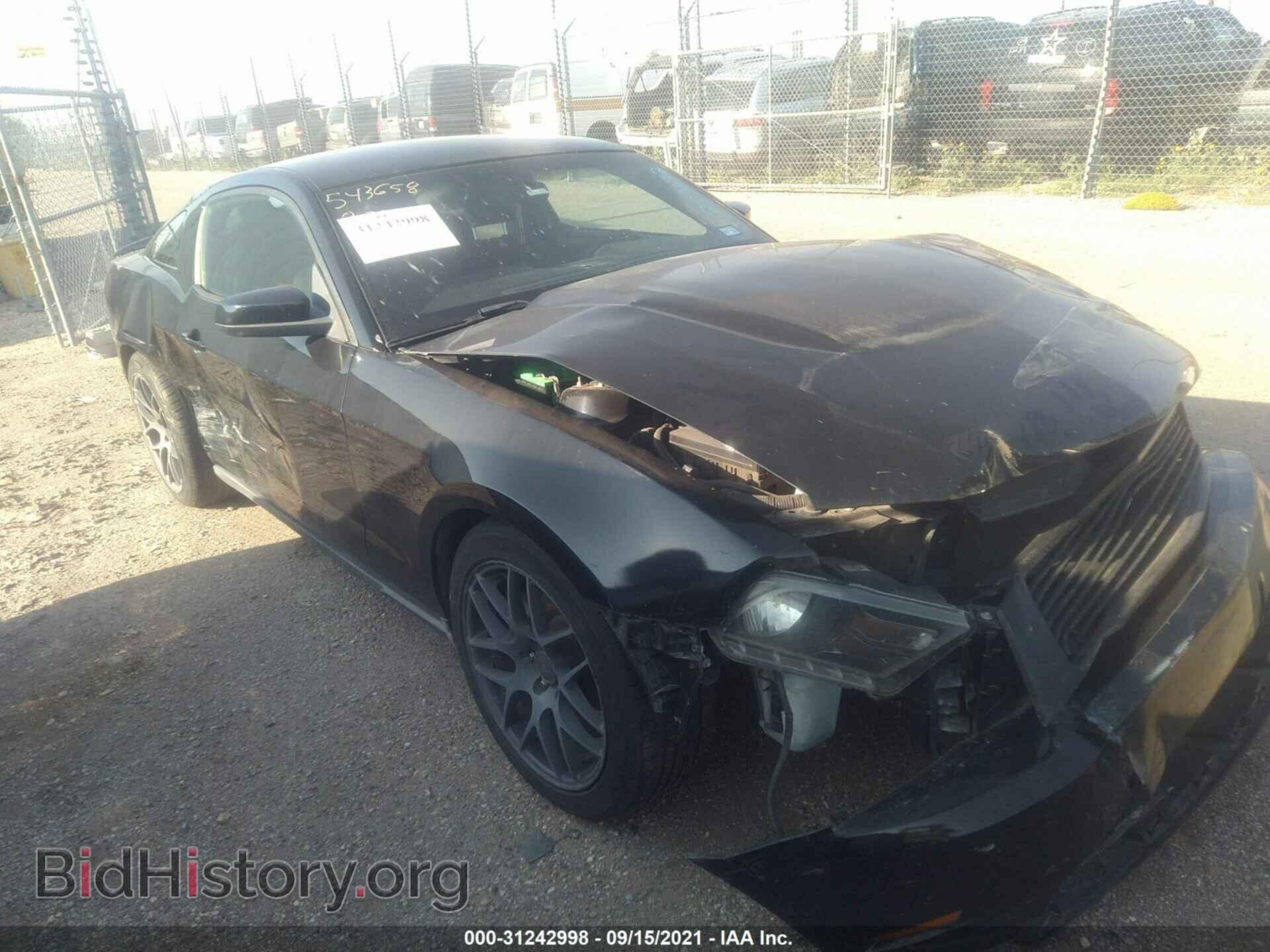 Photo 1ZVBP8CF8C5209672 - FORD MUSTANG 2012