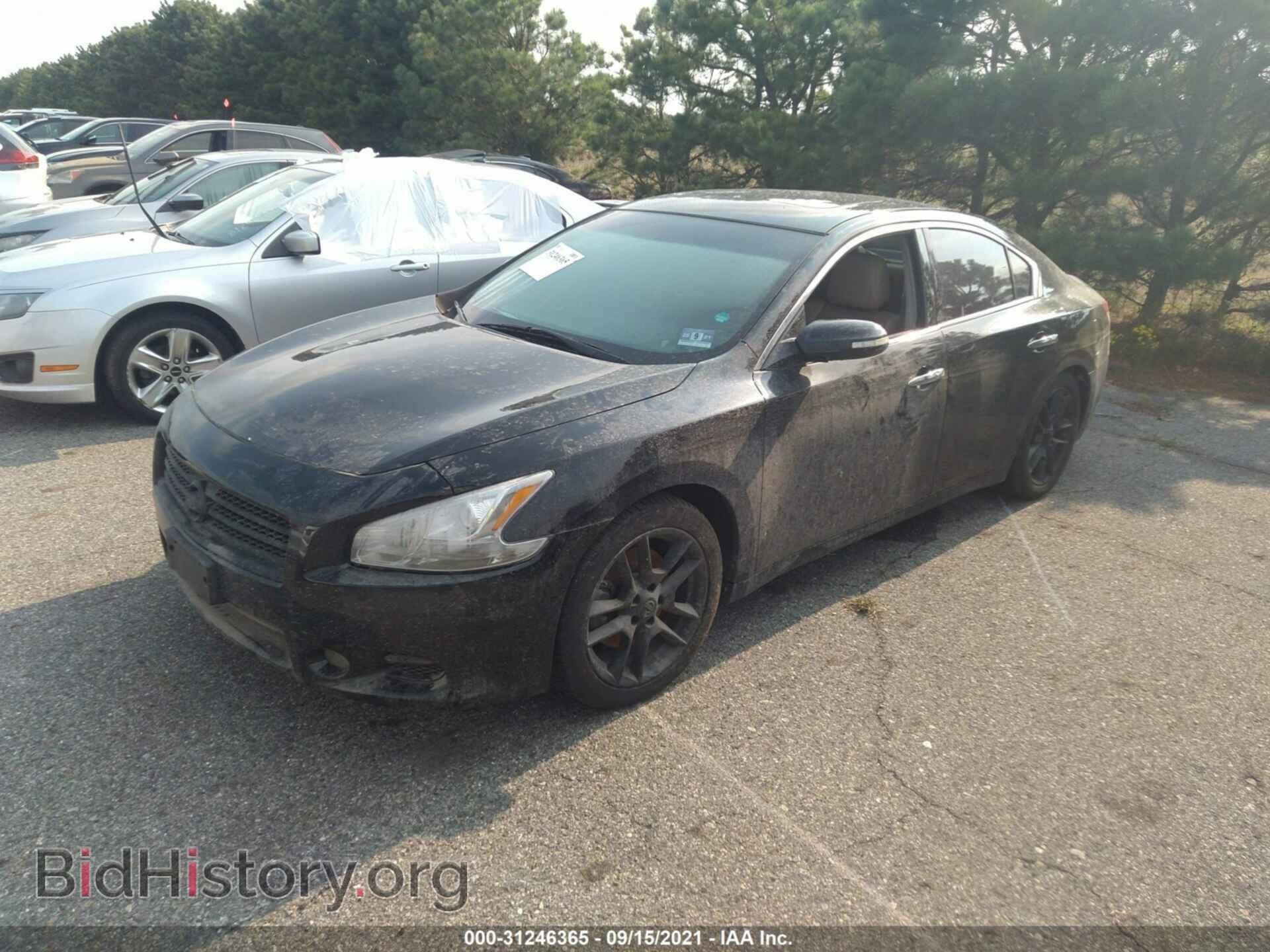 2011 NISSAN MAXIMA - VIN: 1N4AA5AP5BC864057 - Фото 2