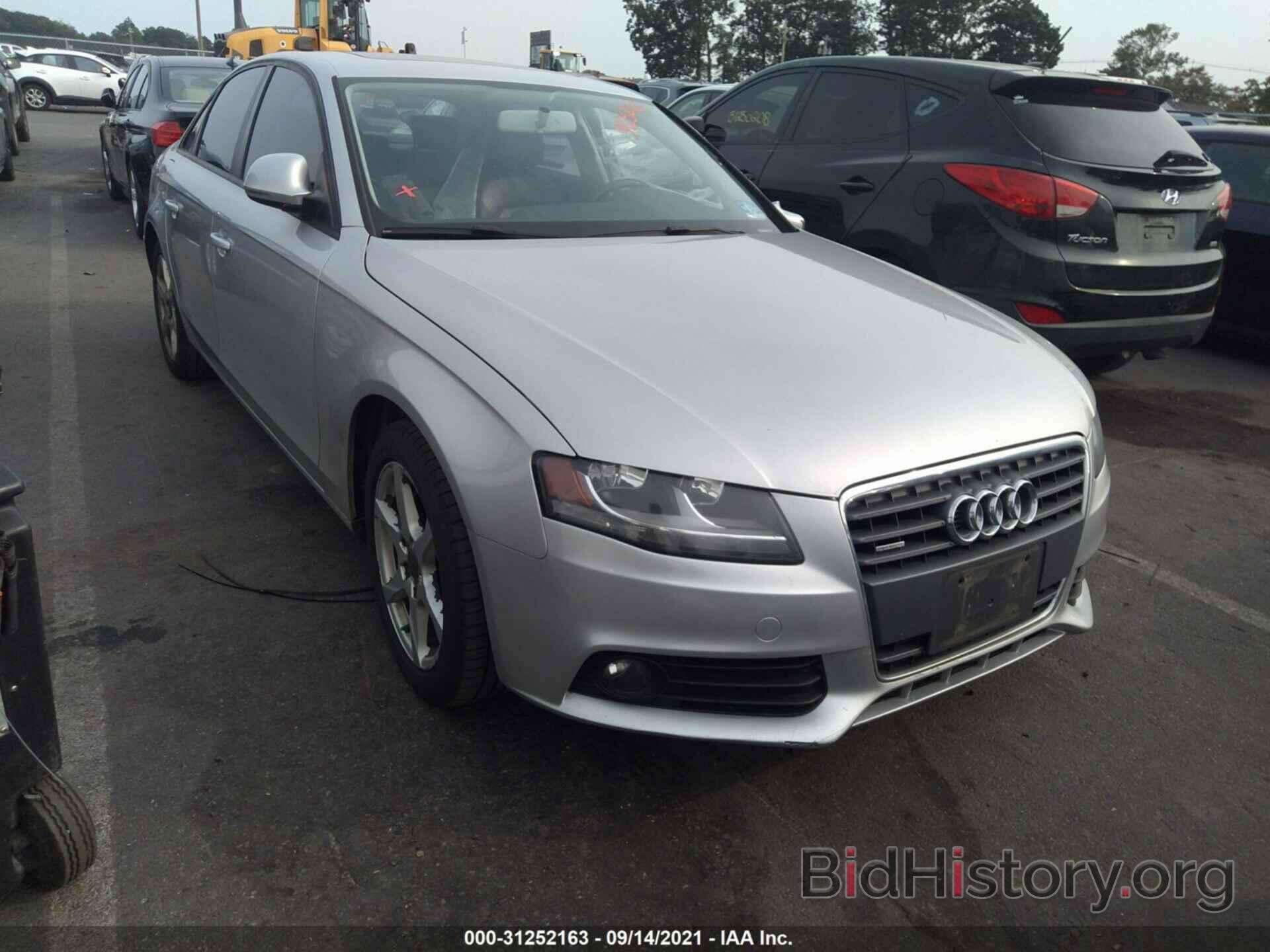 Фотография WAULF78K89N013103 - AUDI A4 2009