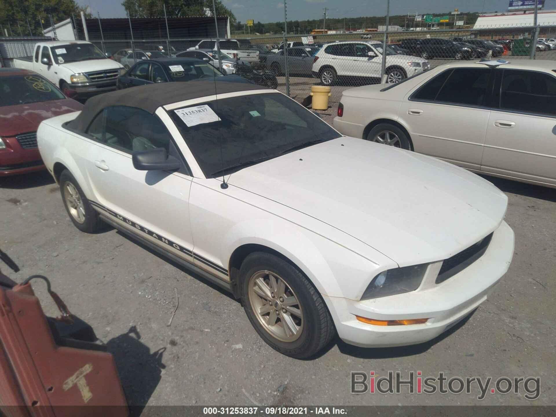 Photo 1ZVFT84N875294506 - FORD MUSTANG 2007