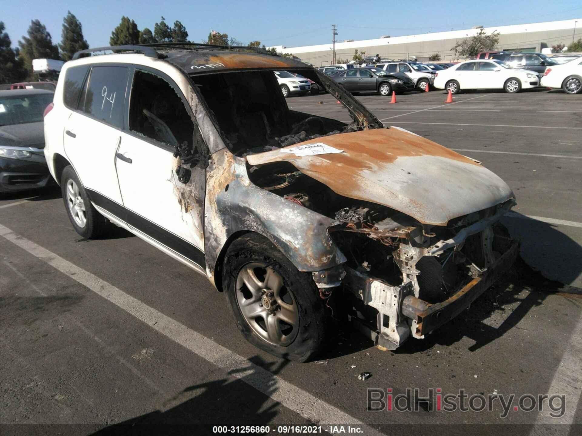 Photo JTMZD33V785083011 - TOYOTA RAV4 2008