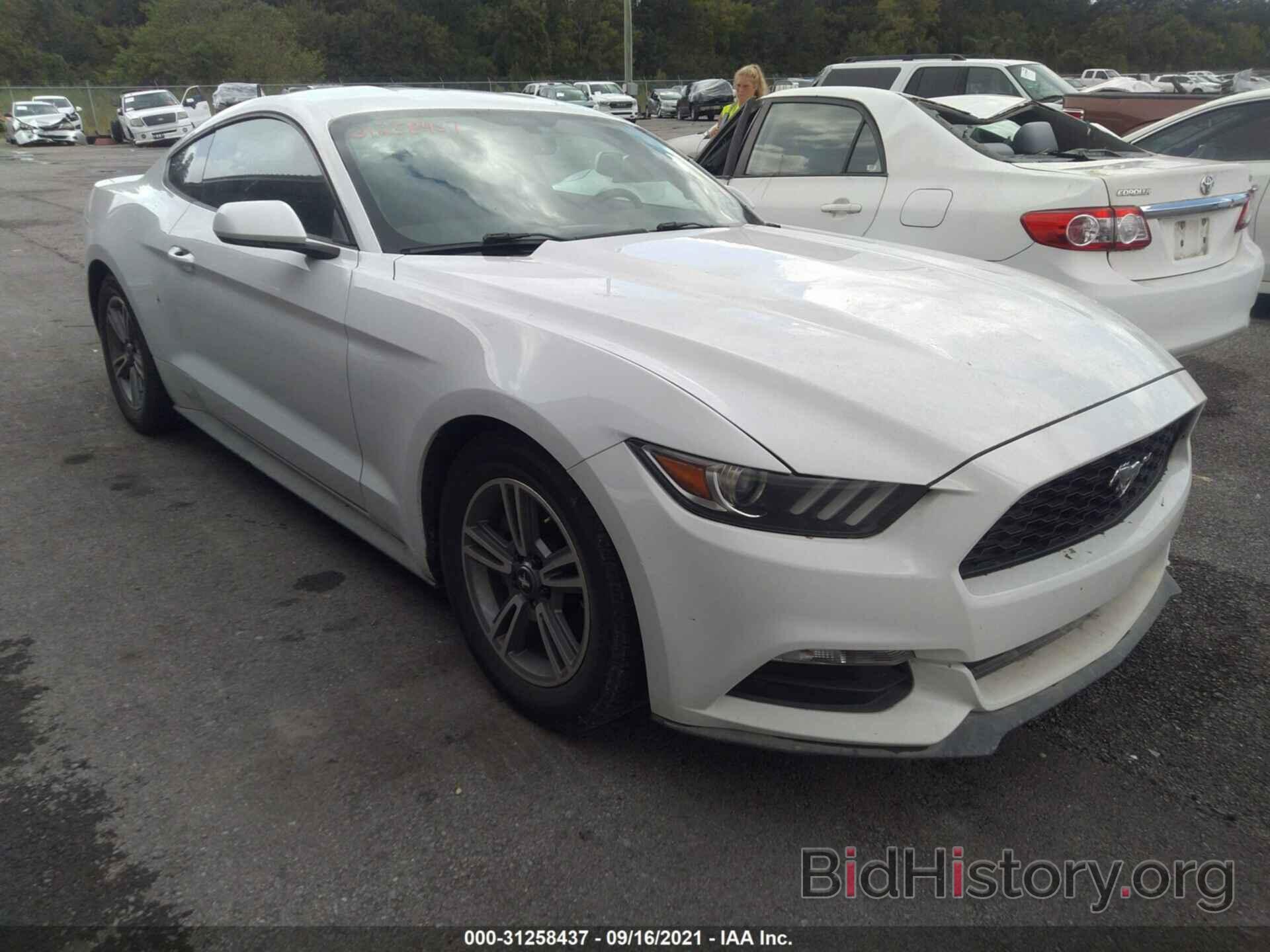 Photo 1FA6P8AM8H5280552 - FORD MUSTANG 2017