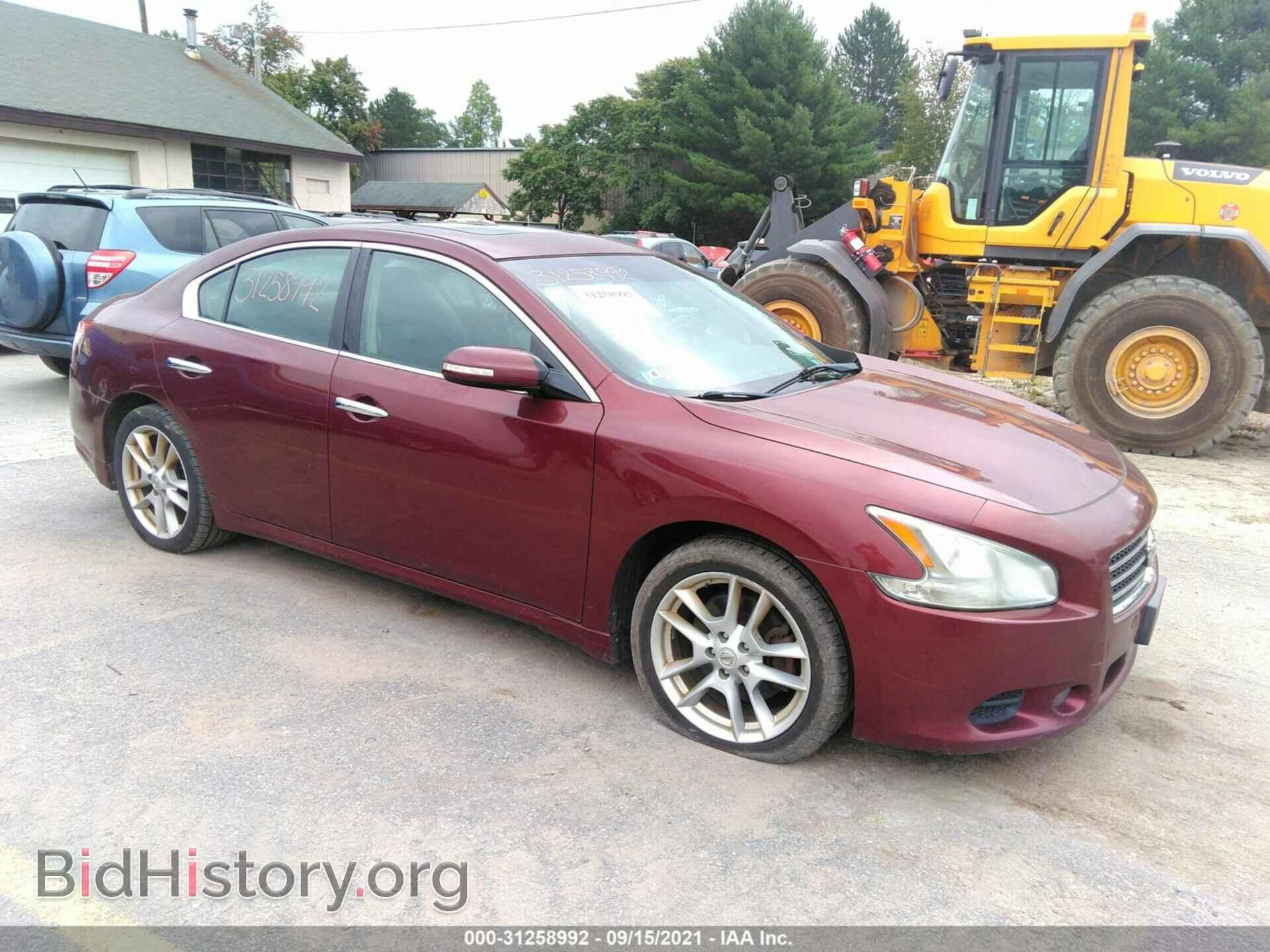 Фотография 1N4AA5AP5BC807633 - NISSAN MAXIMA 2011