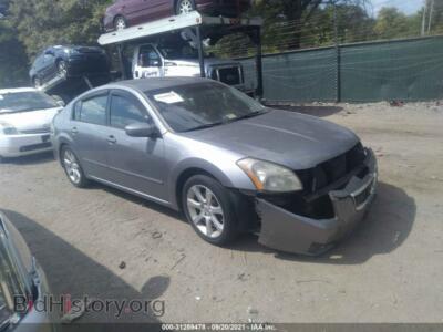 2007 Nissan MAXIMA 3.5 SE, серый — VIN 1N4BA41E27C846037, IAAI