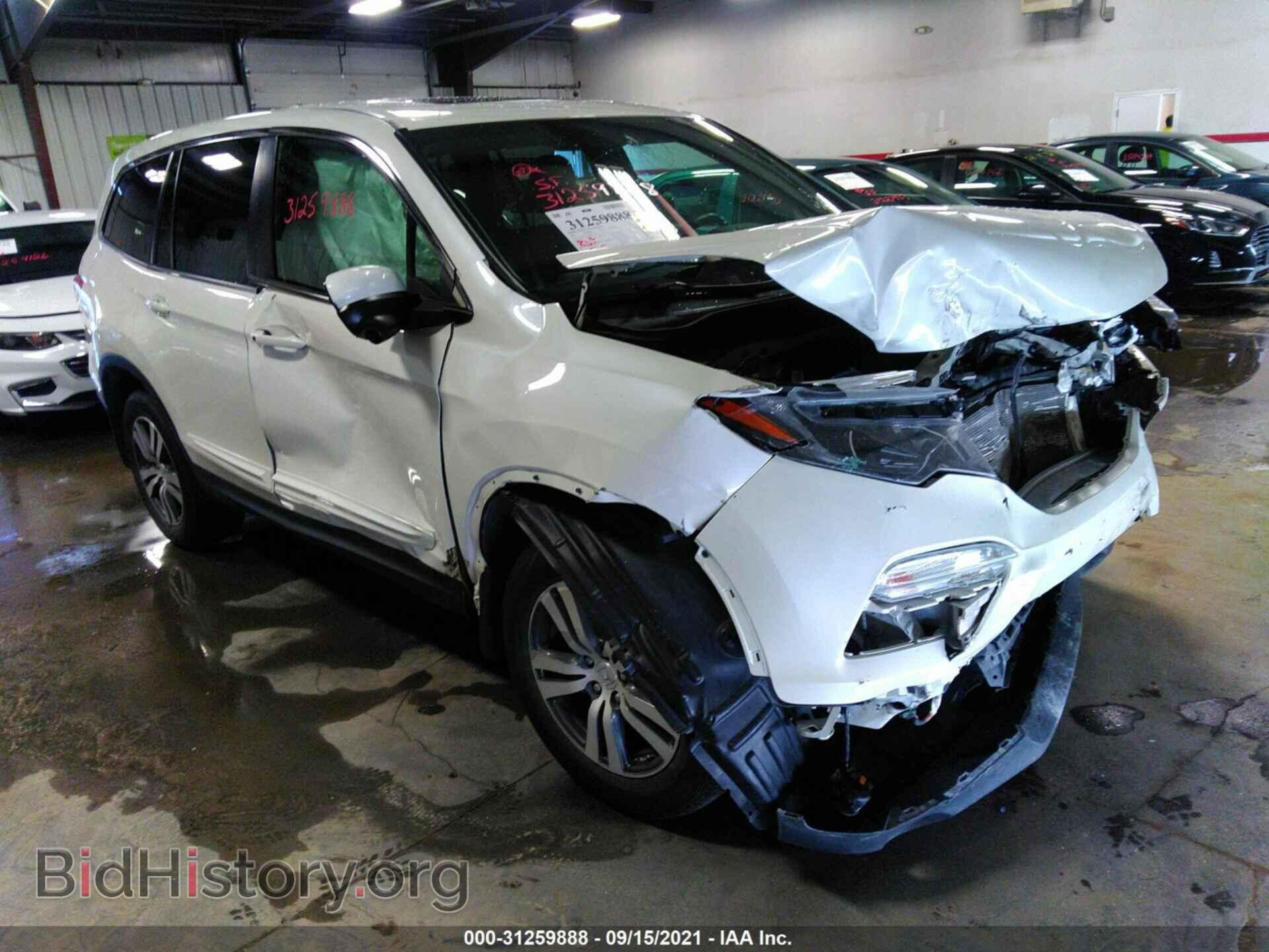 Photo 5FNYF6H59HB032592 - HONDA PILOT 2017
