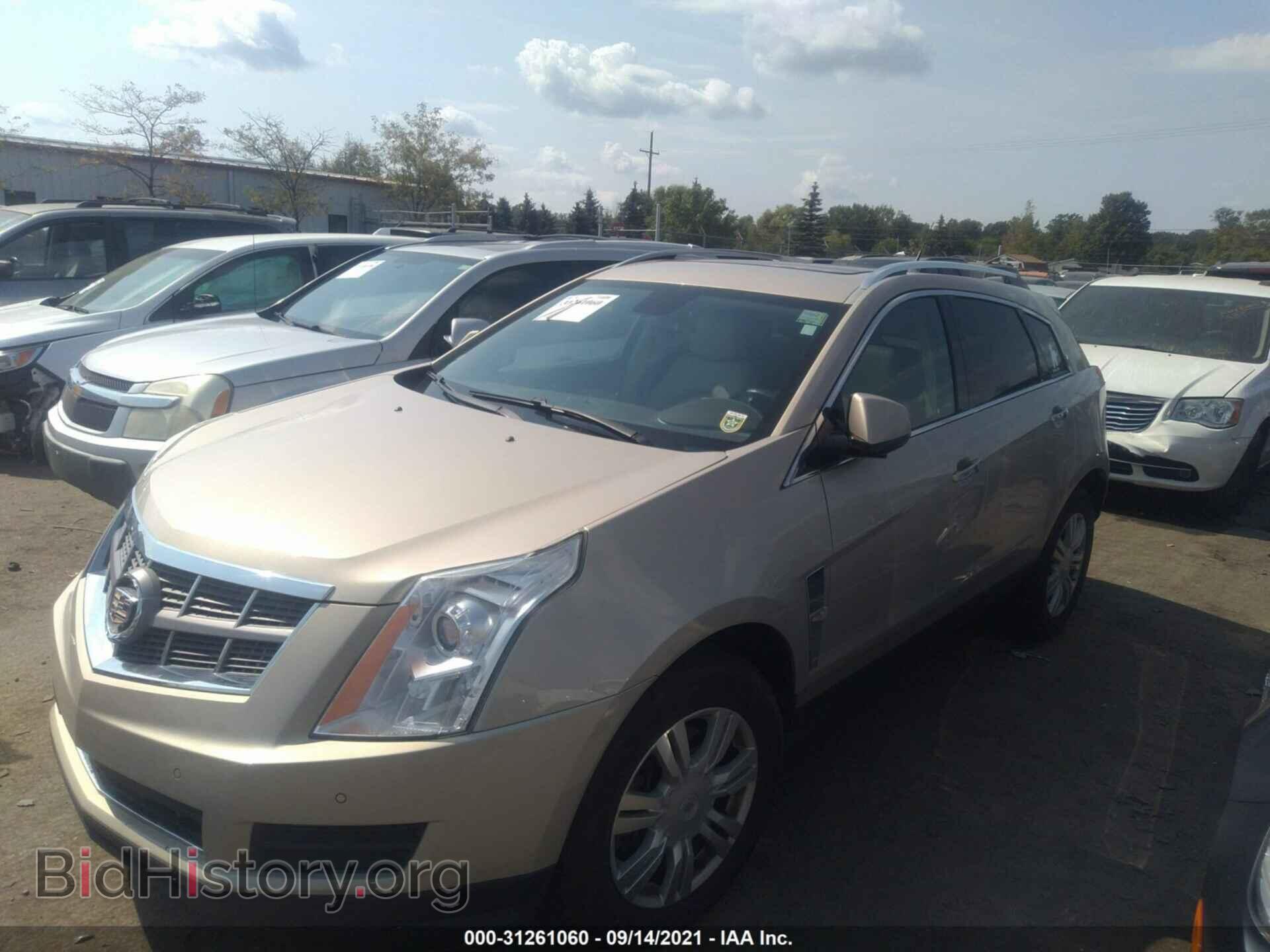 2011 CADILLAC SRX - VIN: 3GYFNAEY6BS516210 - Фото 2