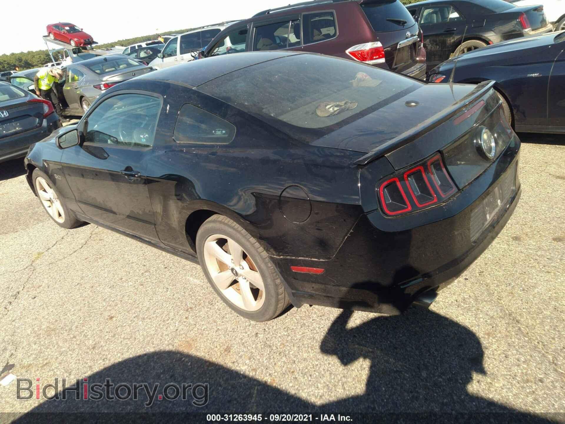 2014 FORD MUSTANG - VIN: 1ZVBP8CF8E5248779 - Фото 3