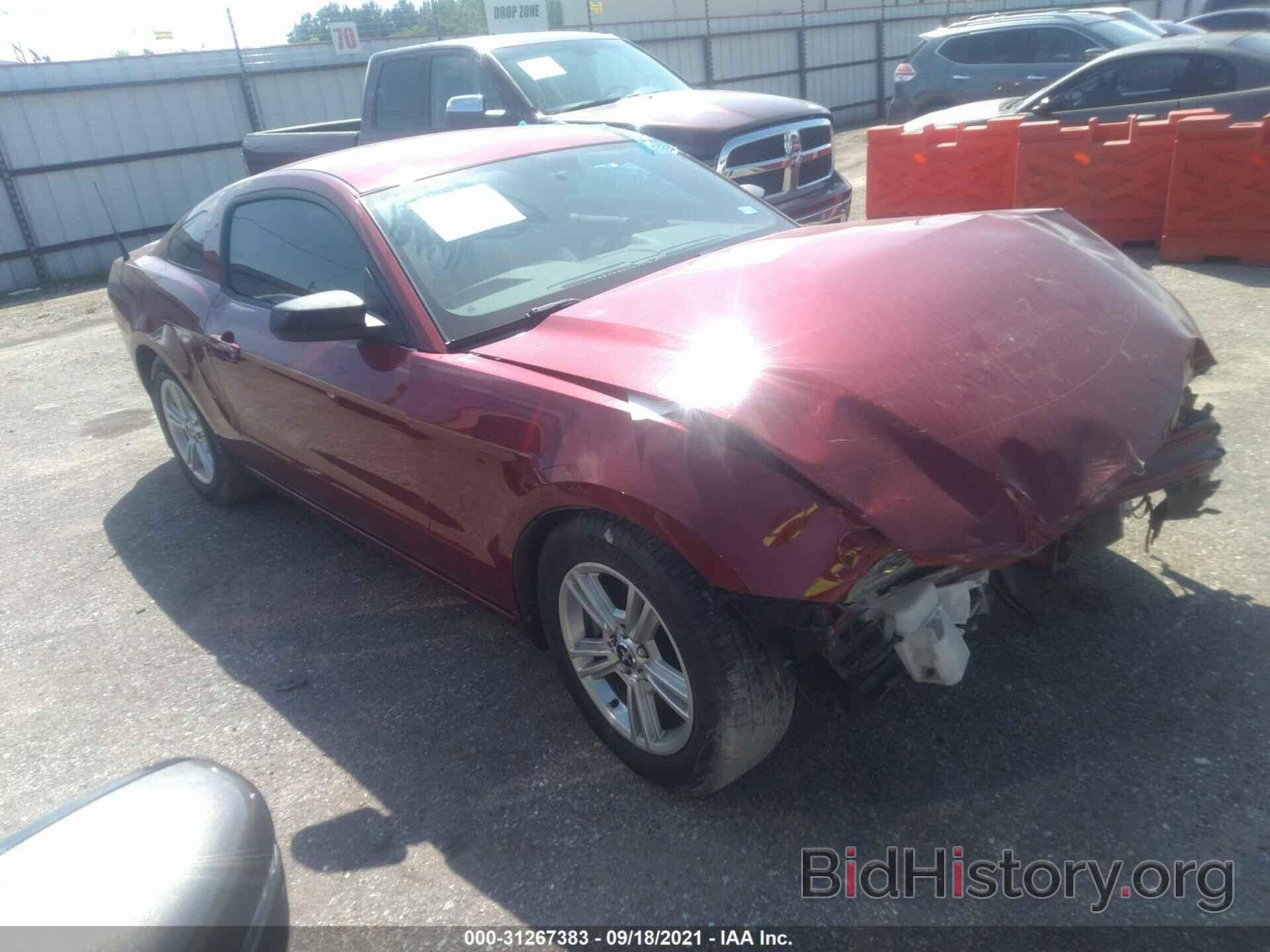 Photo 1ZVBP8AM8E5333168 - FORD MUSTANG 2014