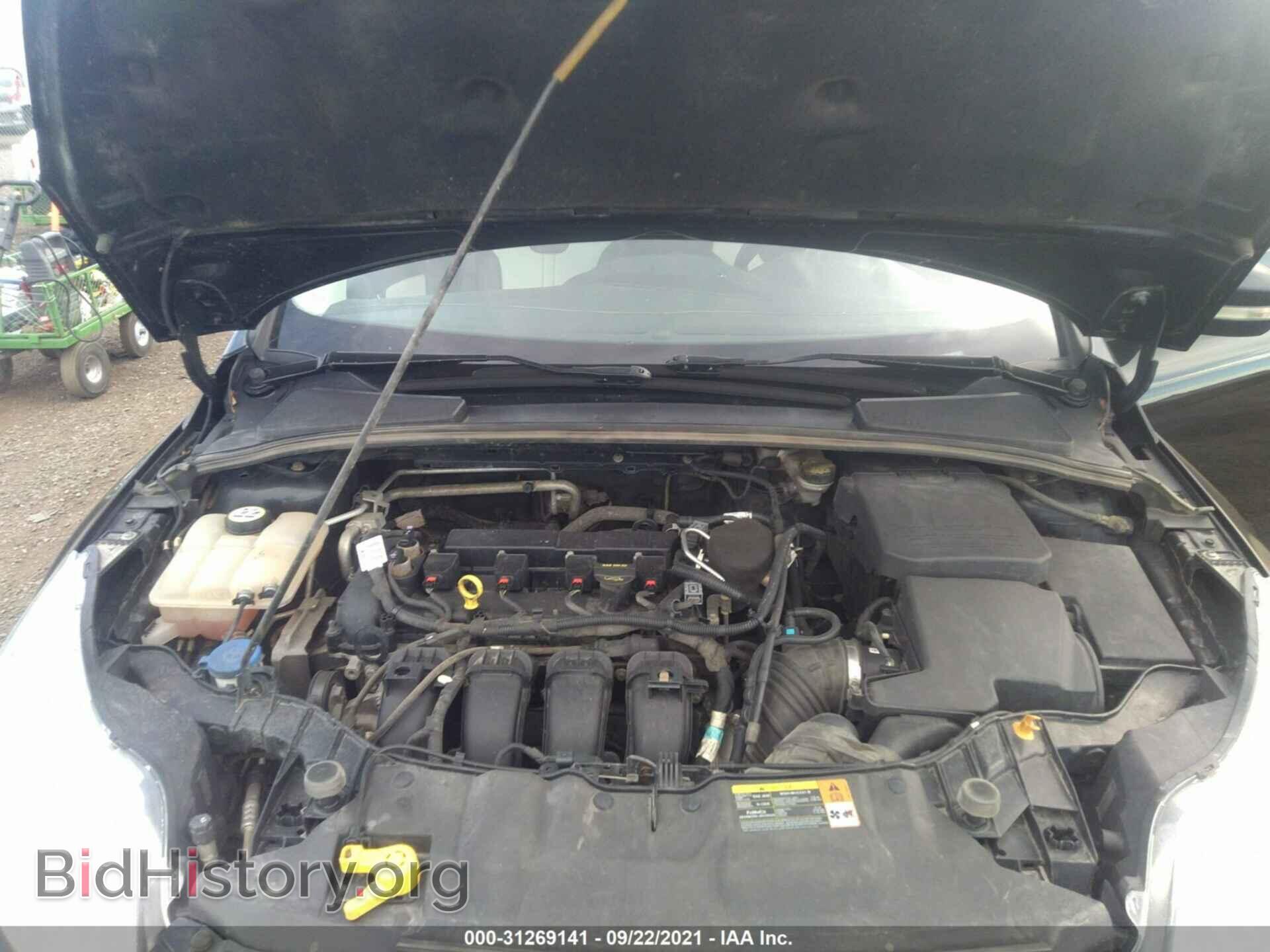 2013 FORD FOCUS - VIN: 1FADP3K22DL128232 - Фото 10