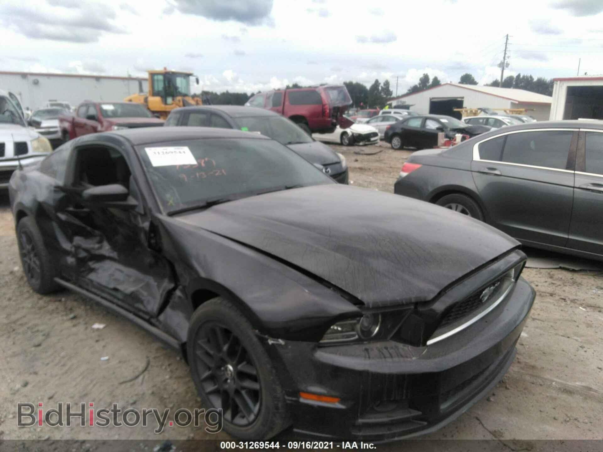 Фотография 1ZVBP8AM3E5286602 - FORD MUSTANG 2014