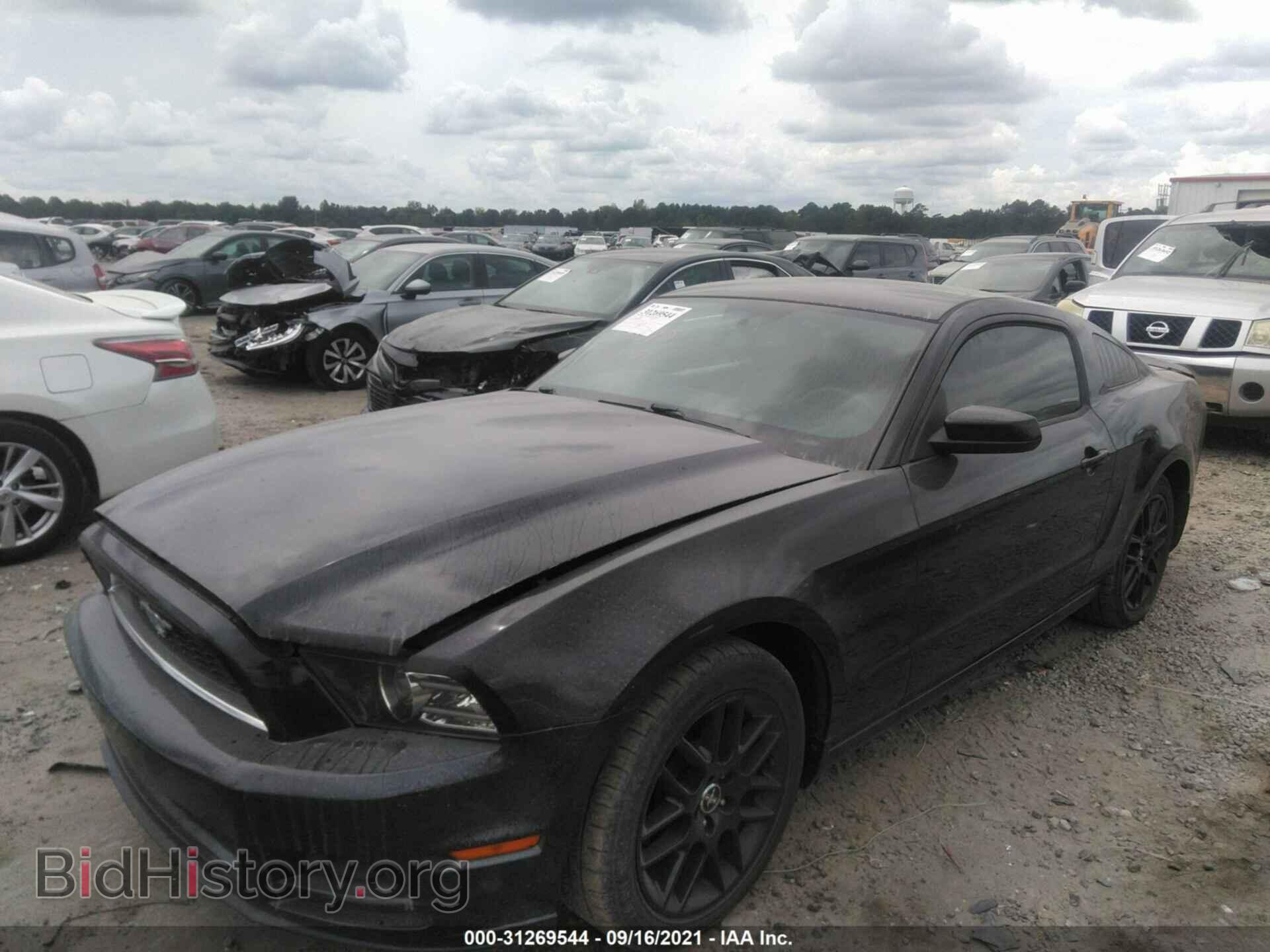 2014 FORD MUSTANG - VIN: 1ZVBP8AM3E5286602 - Фото 2