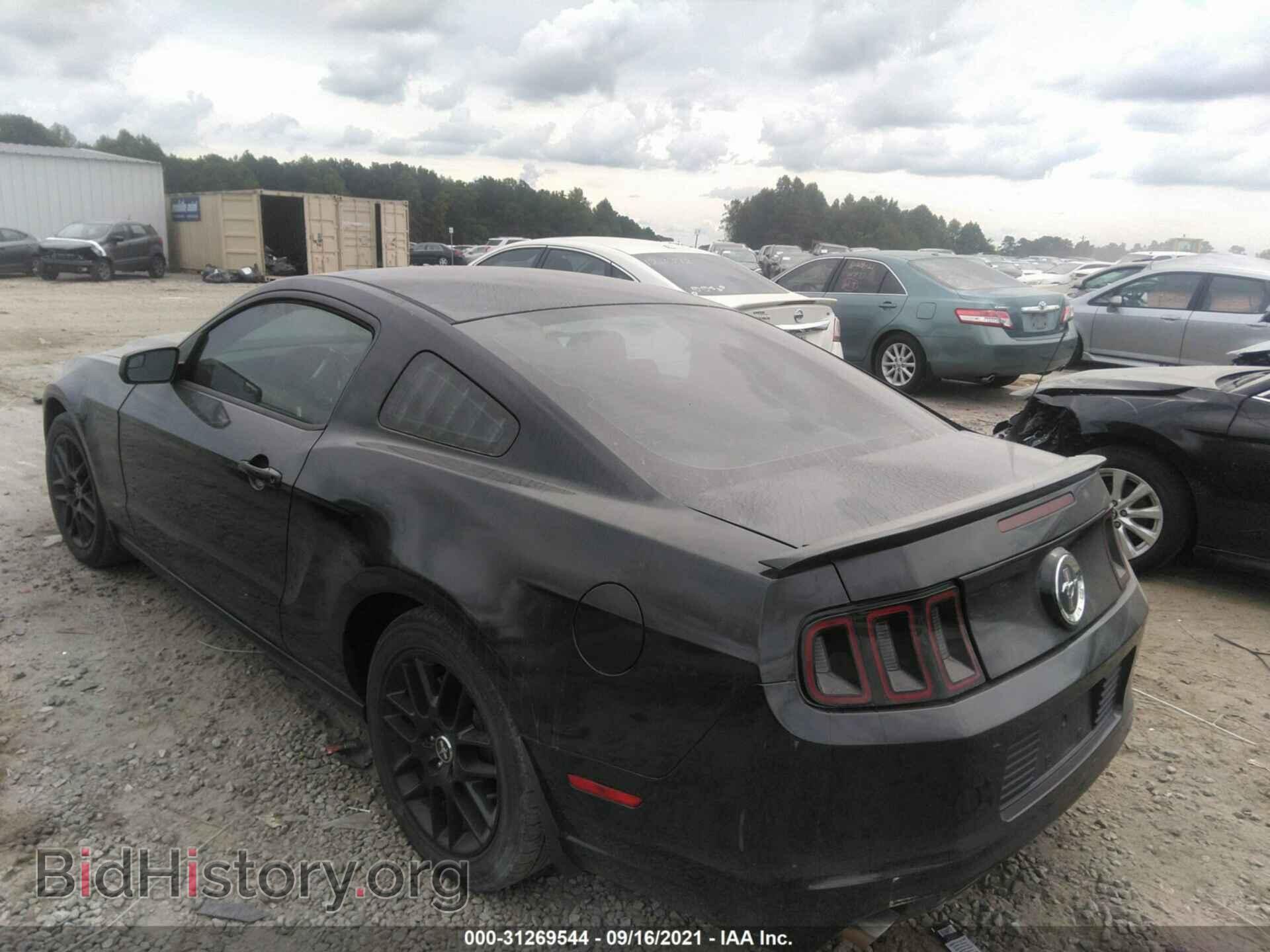 2014 FORD MUSTANG - VIN: 1ZVBP8AM3E5286602 - Фото 3