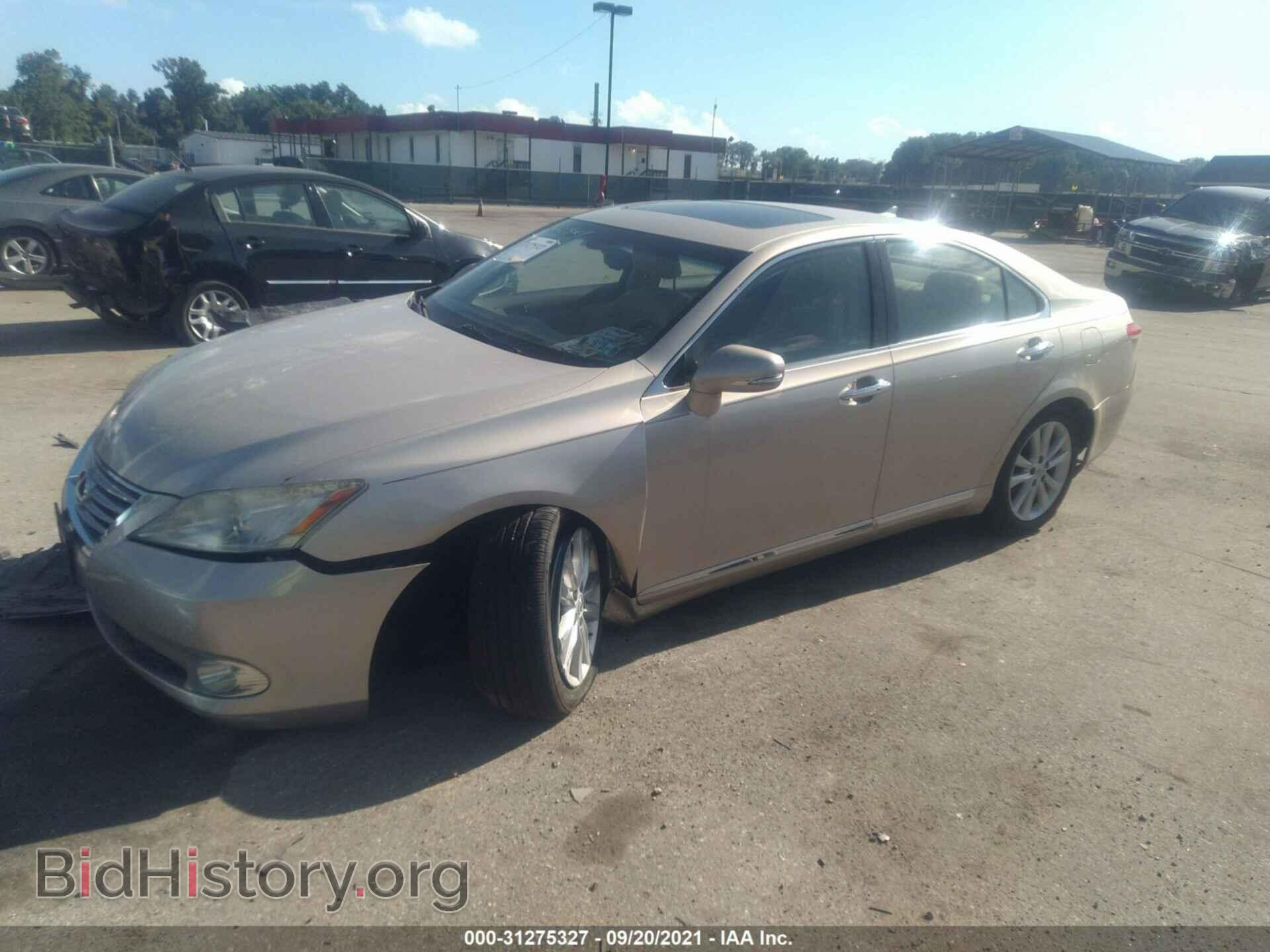 2010 LEXUS ES 350 - VIN: JTHBK1EG9A2399834 - Фото 2