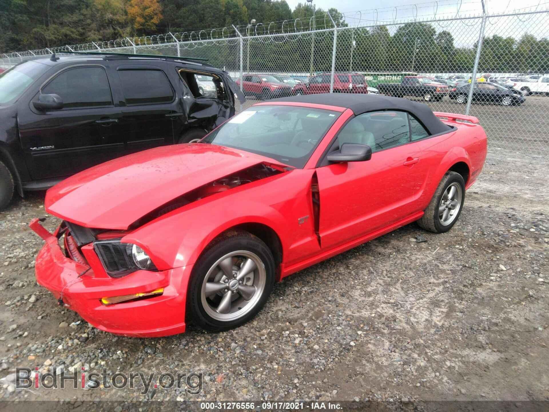 2006 FORD MUSTANG - VIN: 1ZVFT85H065243394 - Фото 2