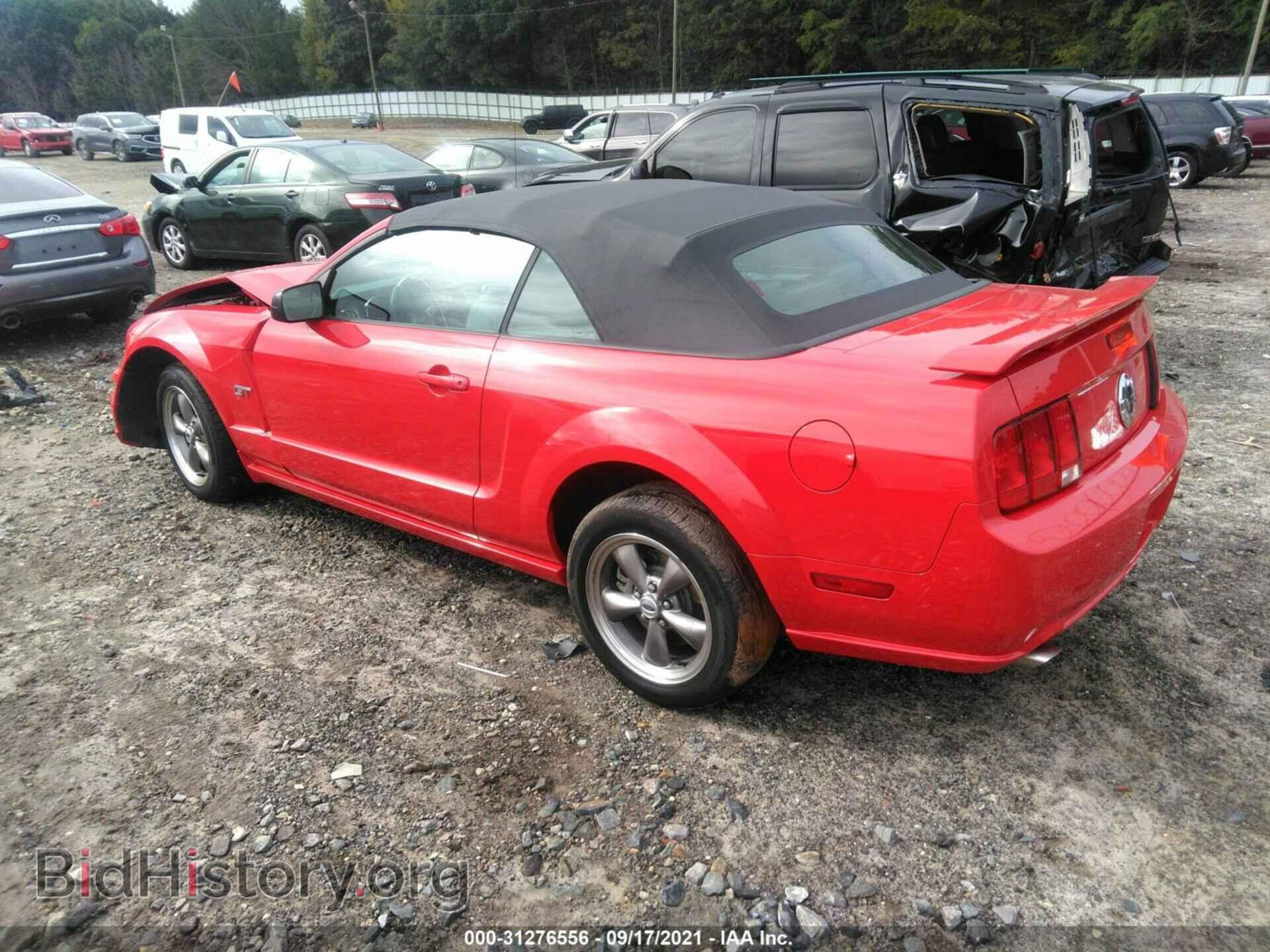 2006 FORD MUSTANG - VIN: 1ZVFT85H065243394 - Фото 3