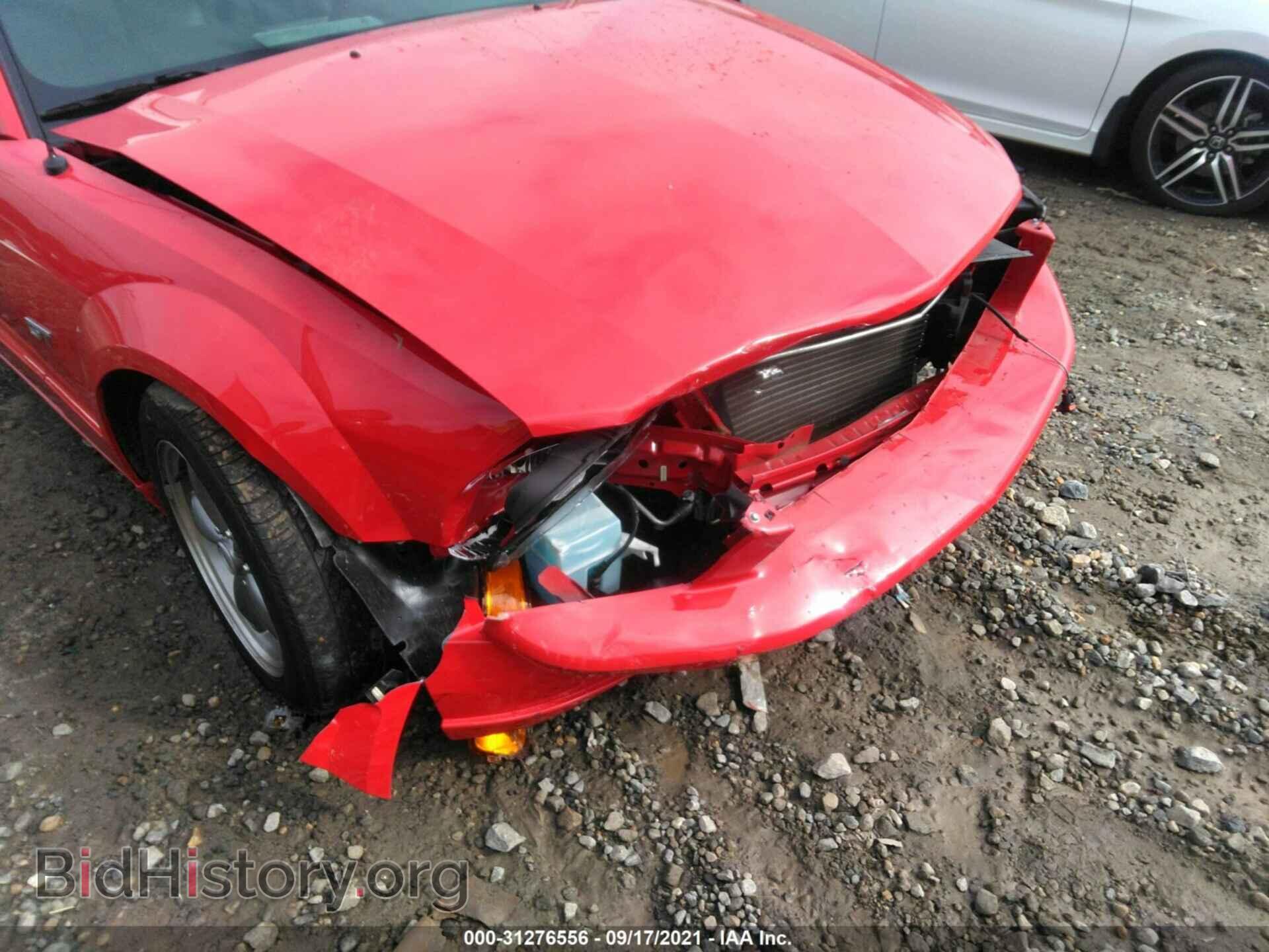 2006 FORD MUSTANG - VIN: 1ZVFT85H065243394 - Фото 6