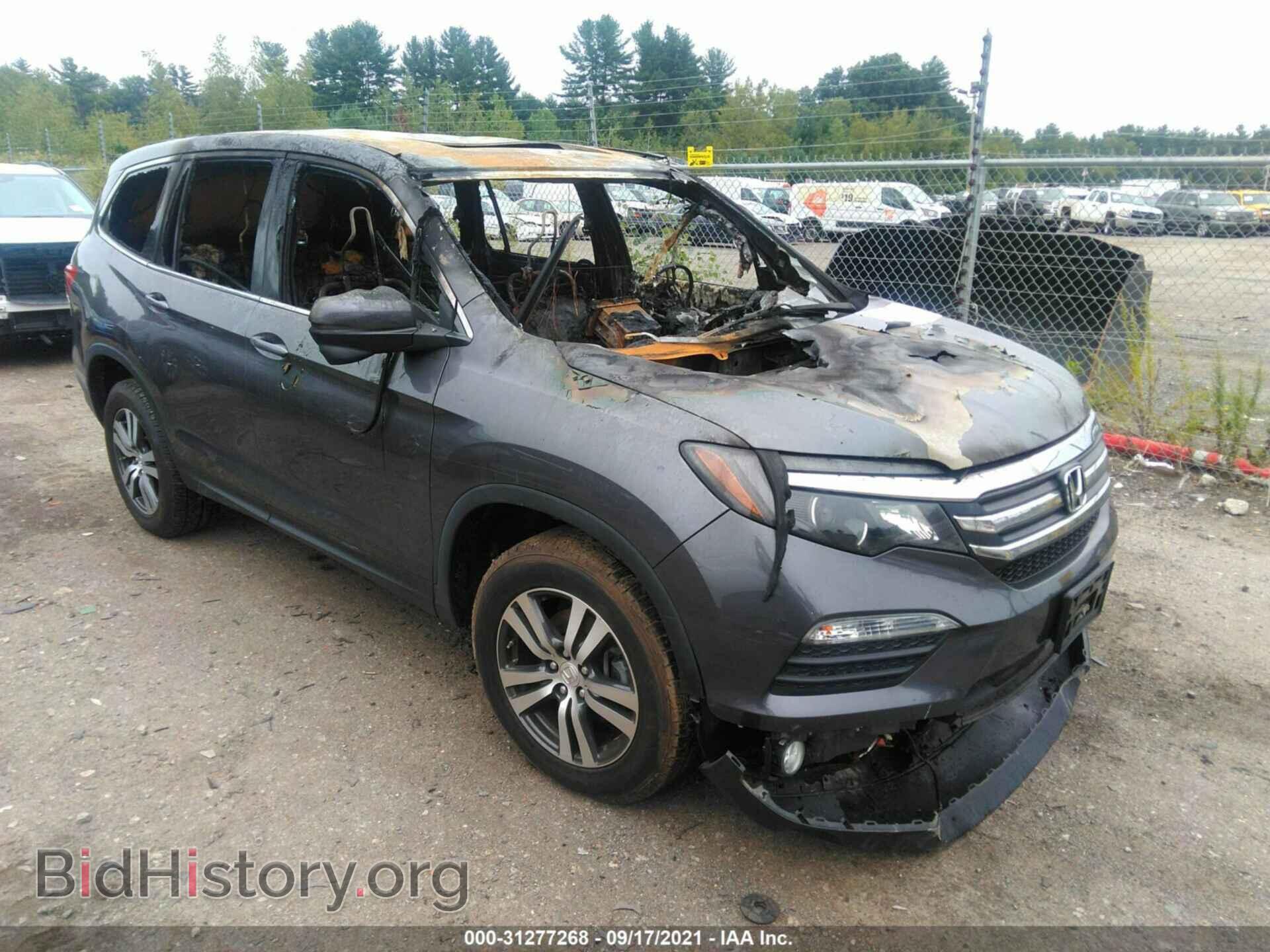 Photo 5FNYF6H51JB031801 - HONDA PILOT 2018