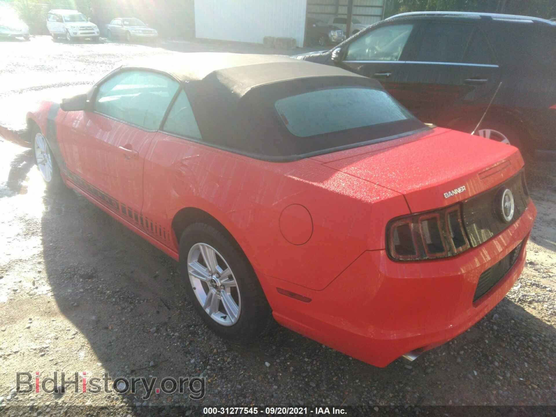 2014 FORD MUSTANG - VIN: 1ZVBP8EM2E5296824 - Фото 3