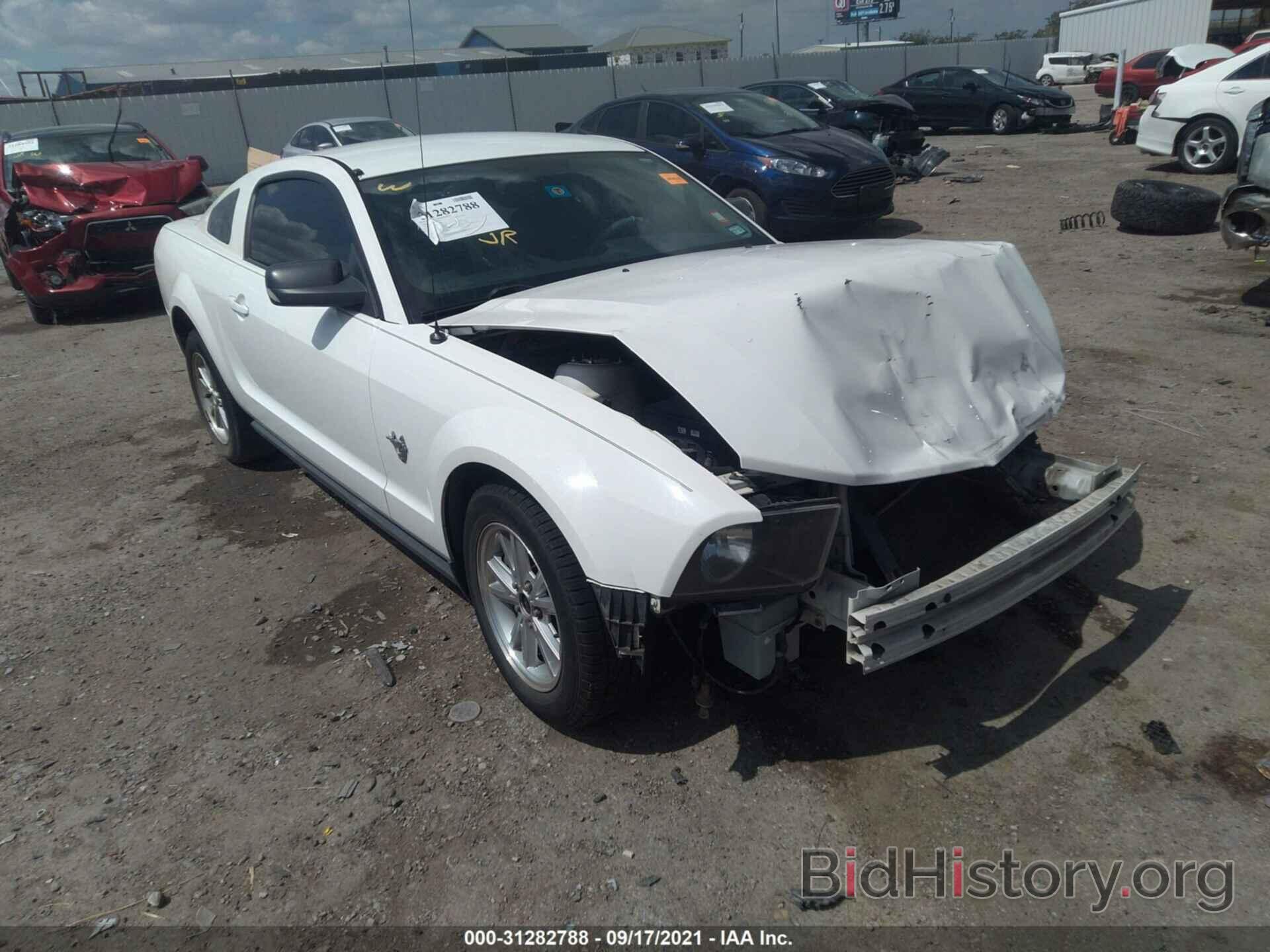 Photo 1ZVHT80N995134409 - FORD MUSTANG 2009