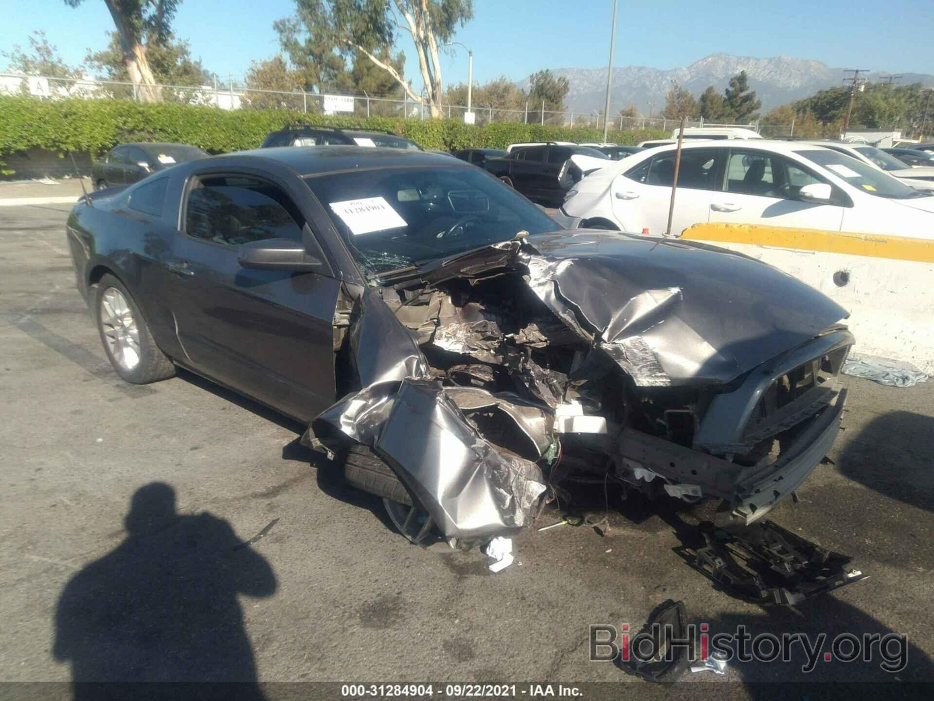 Photo 1ZVBP8AM2E5271850 - FORD MUSTANG 2014